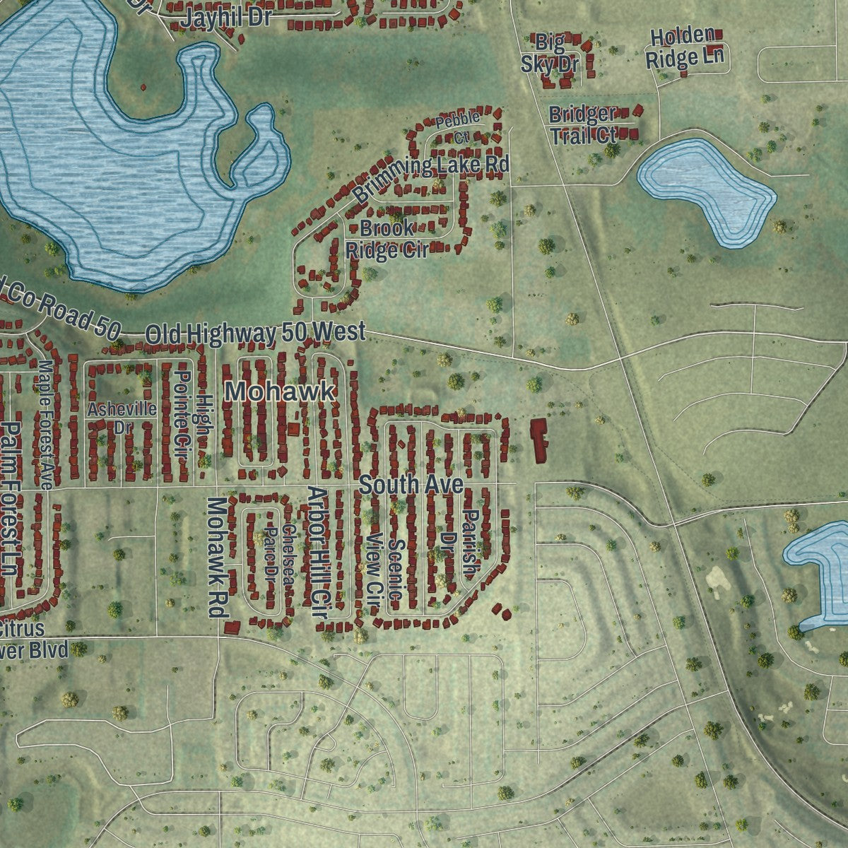 Close-up 2 of the Minneola, Florida map artwork