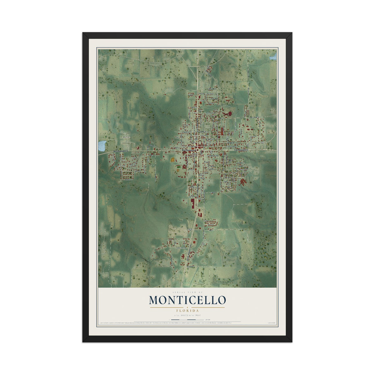 Monticello, Florida map print, 12" x 18" W/ Black Ayous Wood Frame mockup