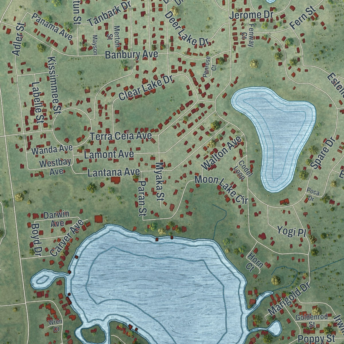 Close-up of the map of Moon Lake, Florida print showing street and building detail
