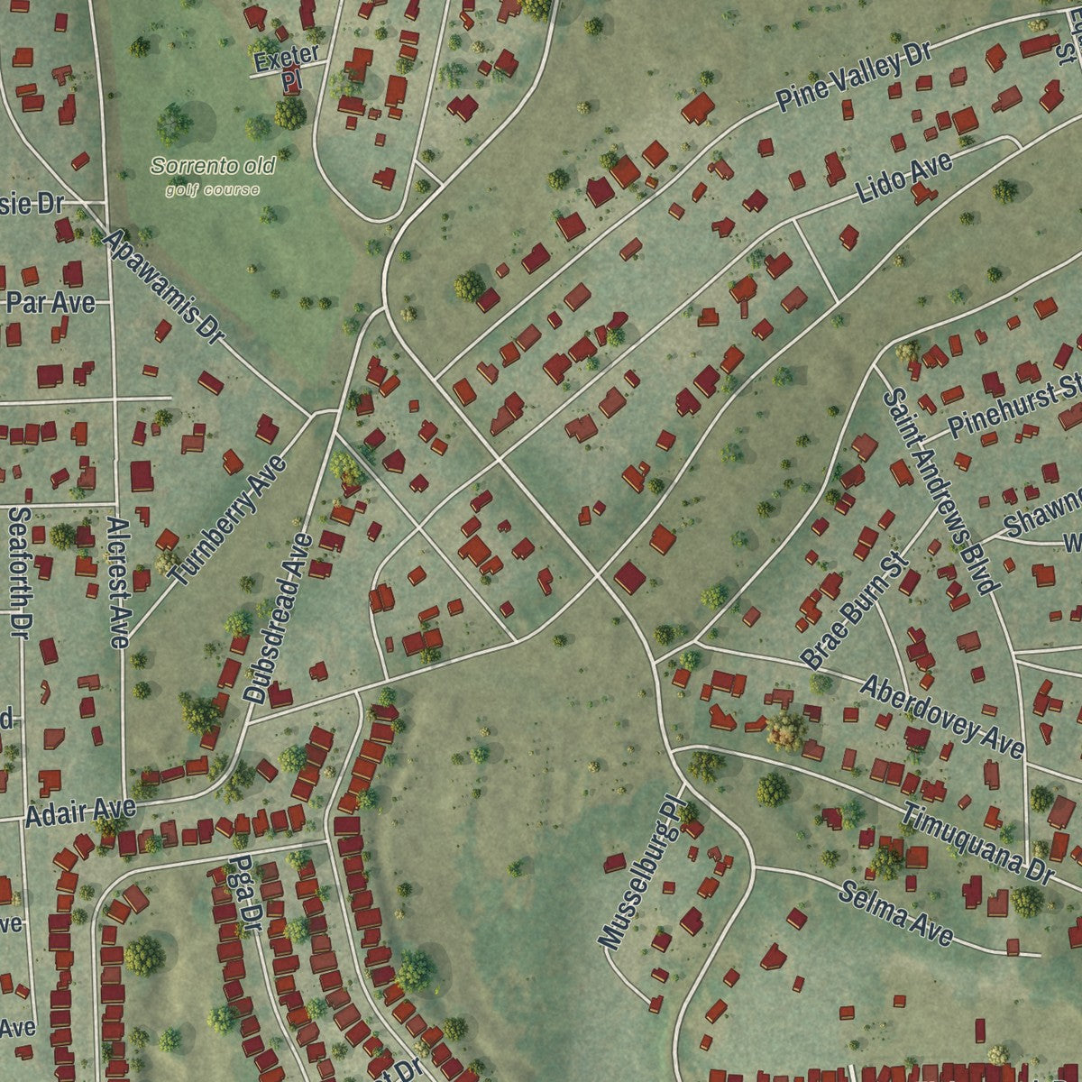Close-up of the map of Mount Plymouth, Florida print showing street and building detail