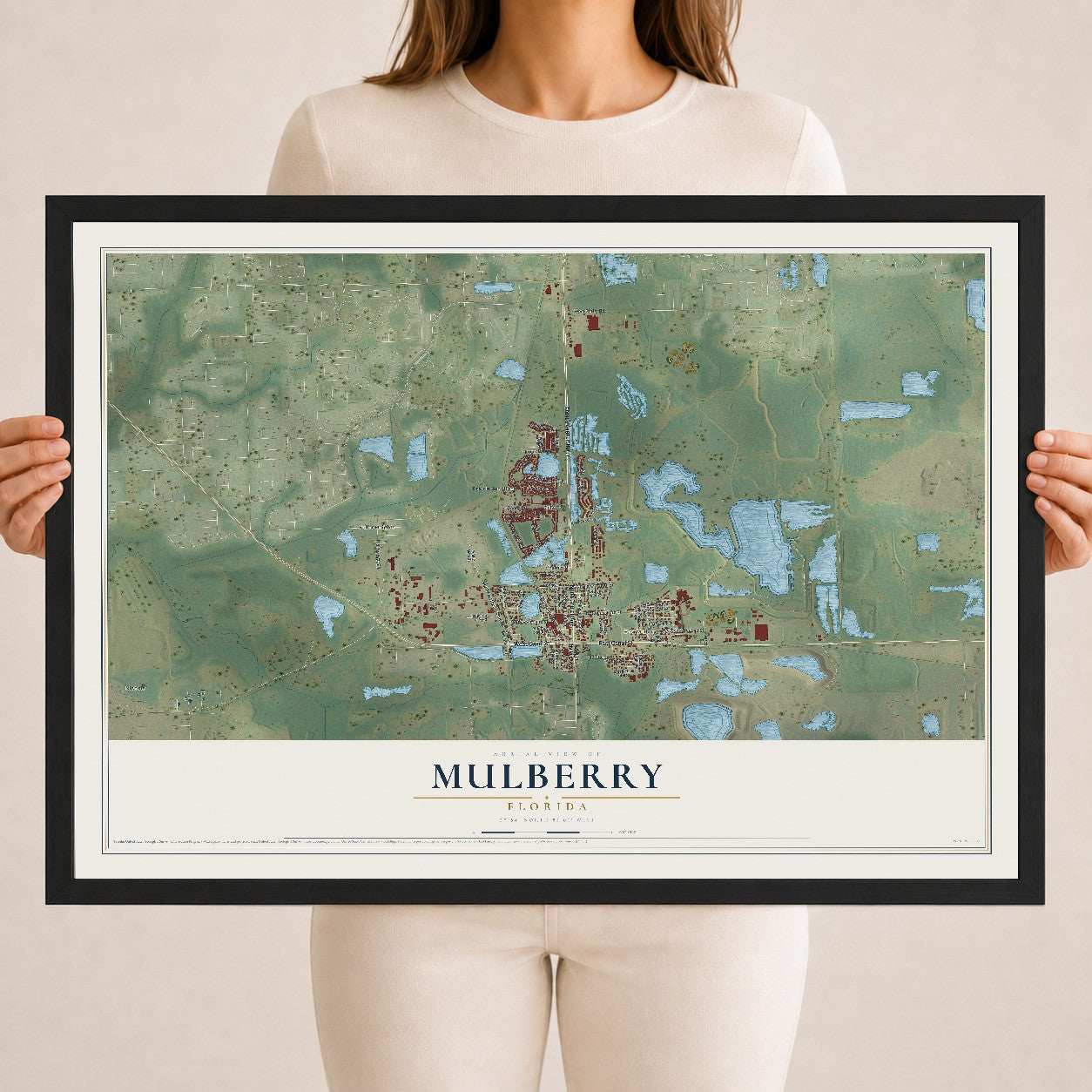 Mulberry, Florida map print, 18" x 24" W/ Black Ayous Wood Frame mockup