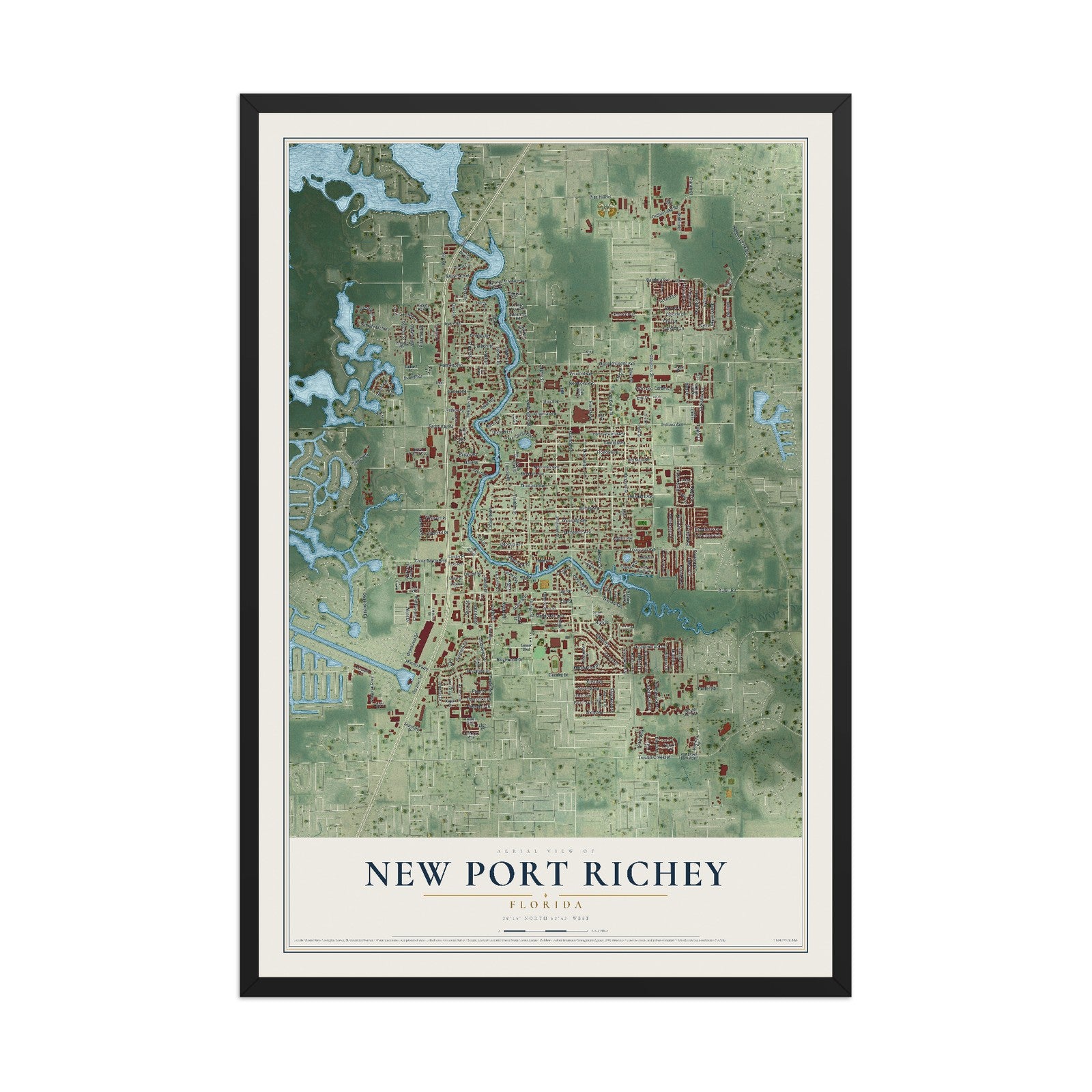 New Port Richey, Florida map print, 12" x 18" W/ Black Ayous Wood Frame mockup