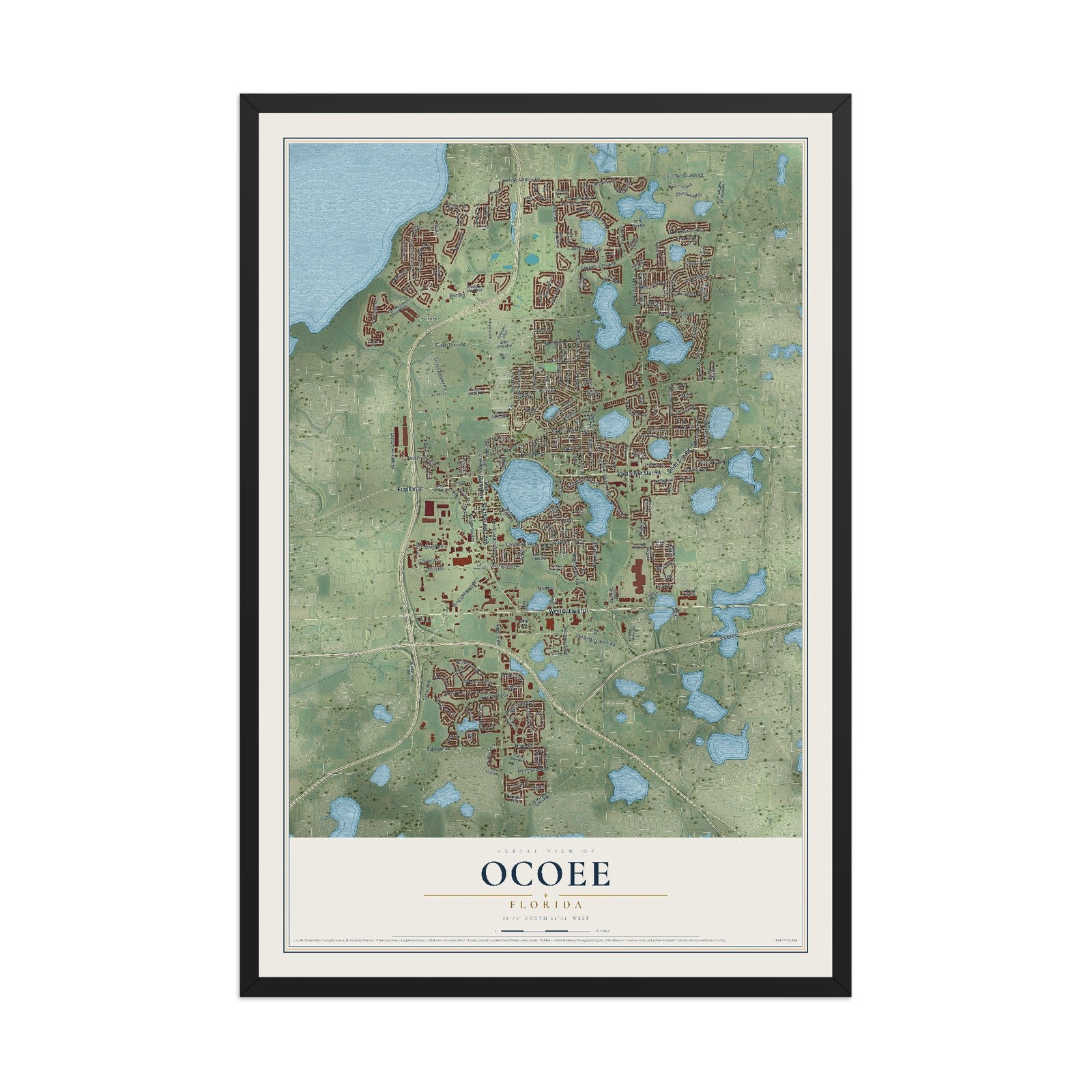 Ocoee, Florida map print, 12" x 18" W/ Black Ayous Wood Frame mockup