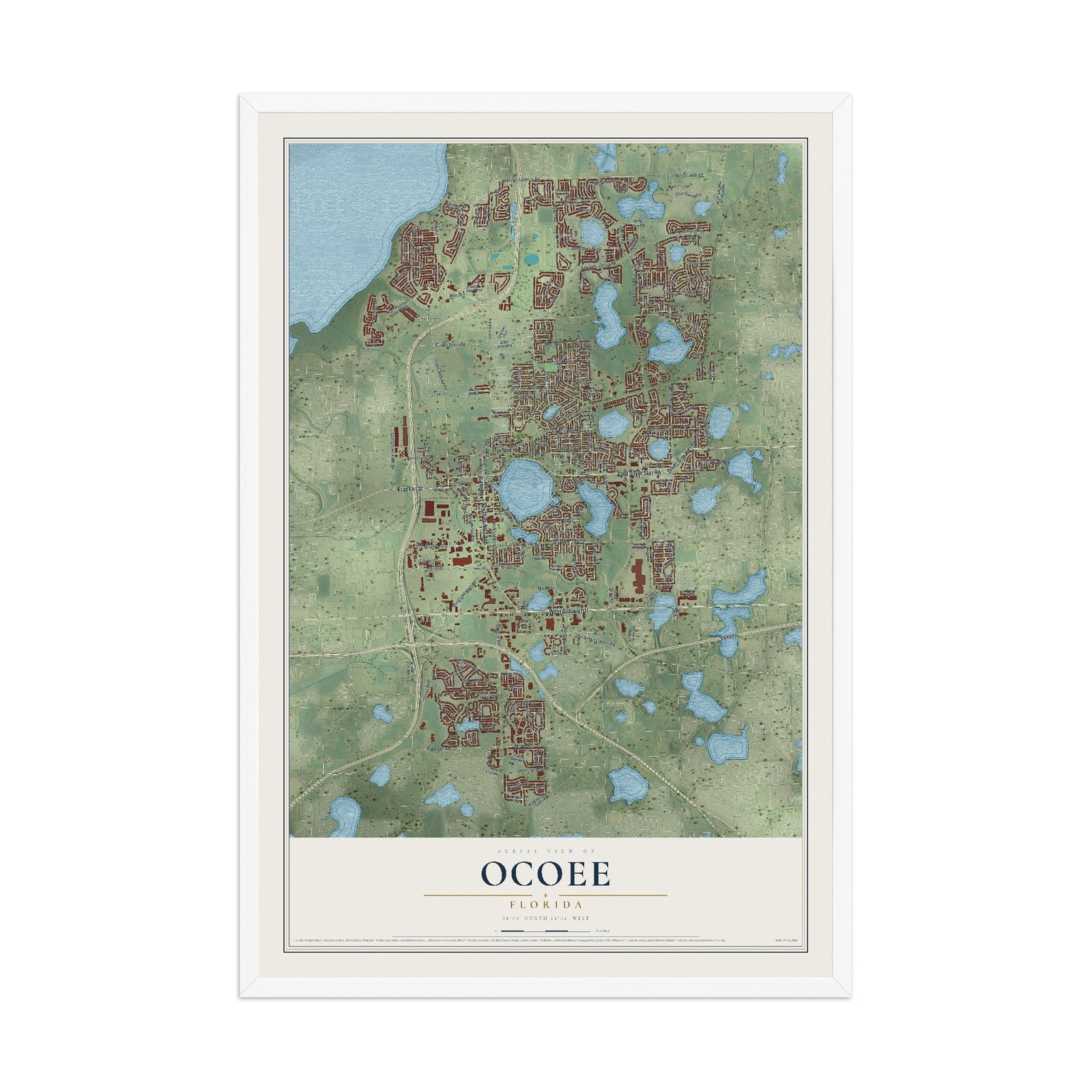 Ocoee, Florida map print, 12" x 18" W/ White Ayous Wood Frame mockup