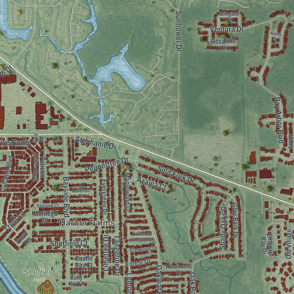 Close-up 2 of the Oldsmar, Florida map artwork