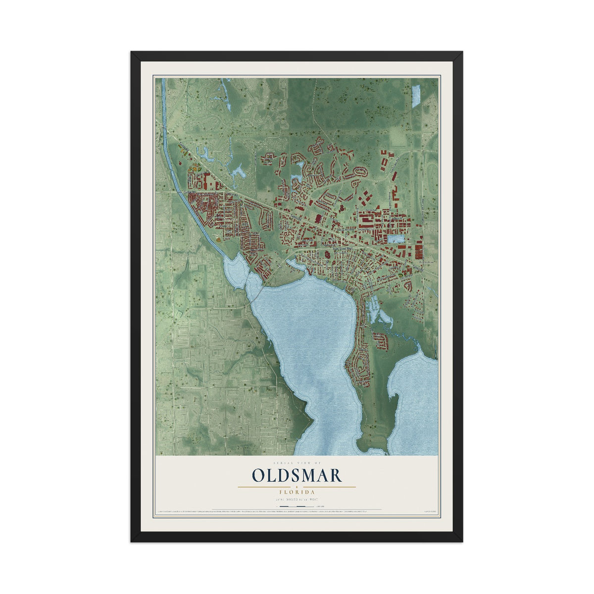 Oldsmar, Florida map print, 12" x 18" W/ Black Ayous Wood Frame mockup