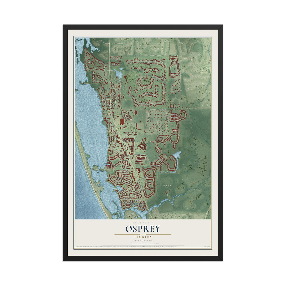Osprey, Florida map print, 12" x 18" W/ Black Ayous Wood Frame mockup
