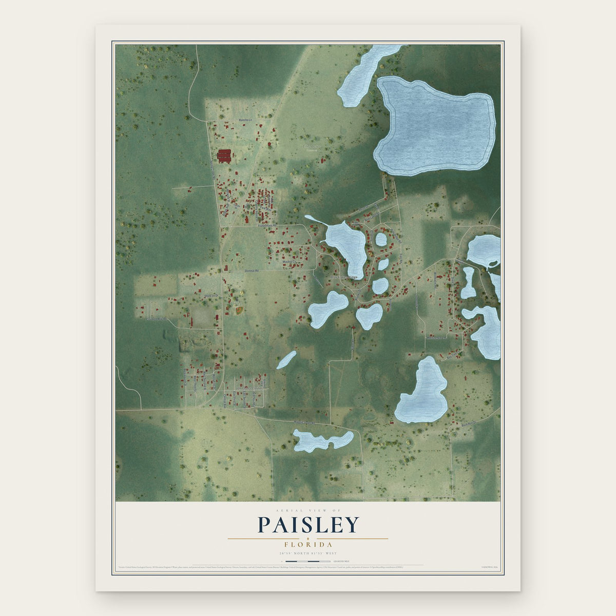 Paisley, Florida map print, the full design