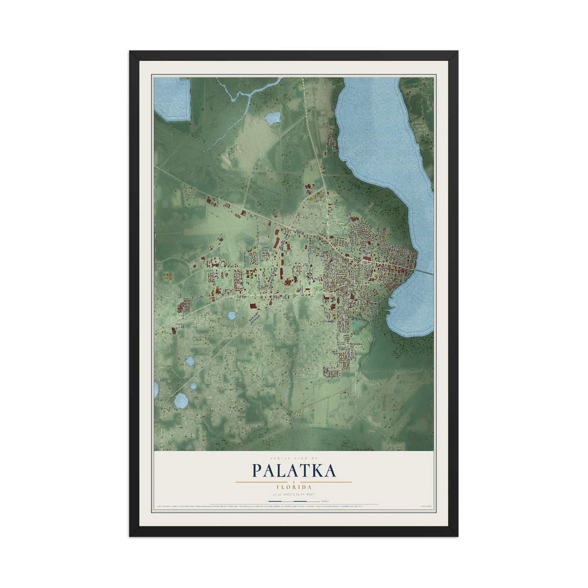 Palatka, Florida map print, 12" x 18" W/ Black Ayous Wood Frame mockup