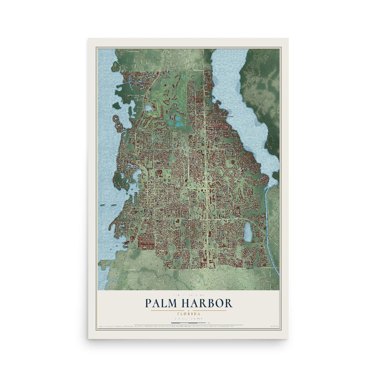 Map of Palm Harbor, Florida, 12 x 18 inch unframed archival matte print