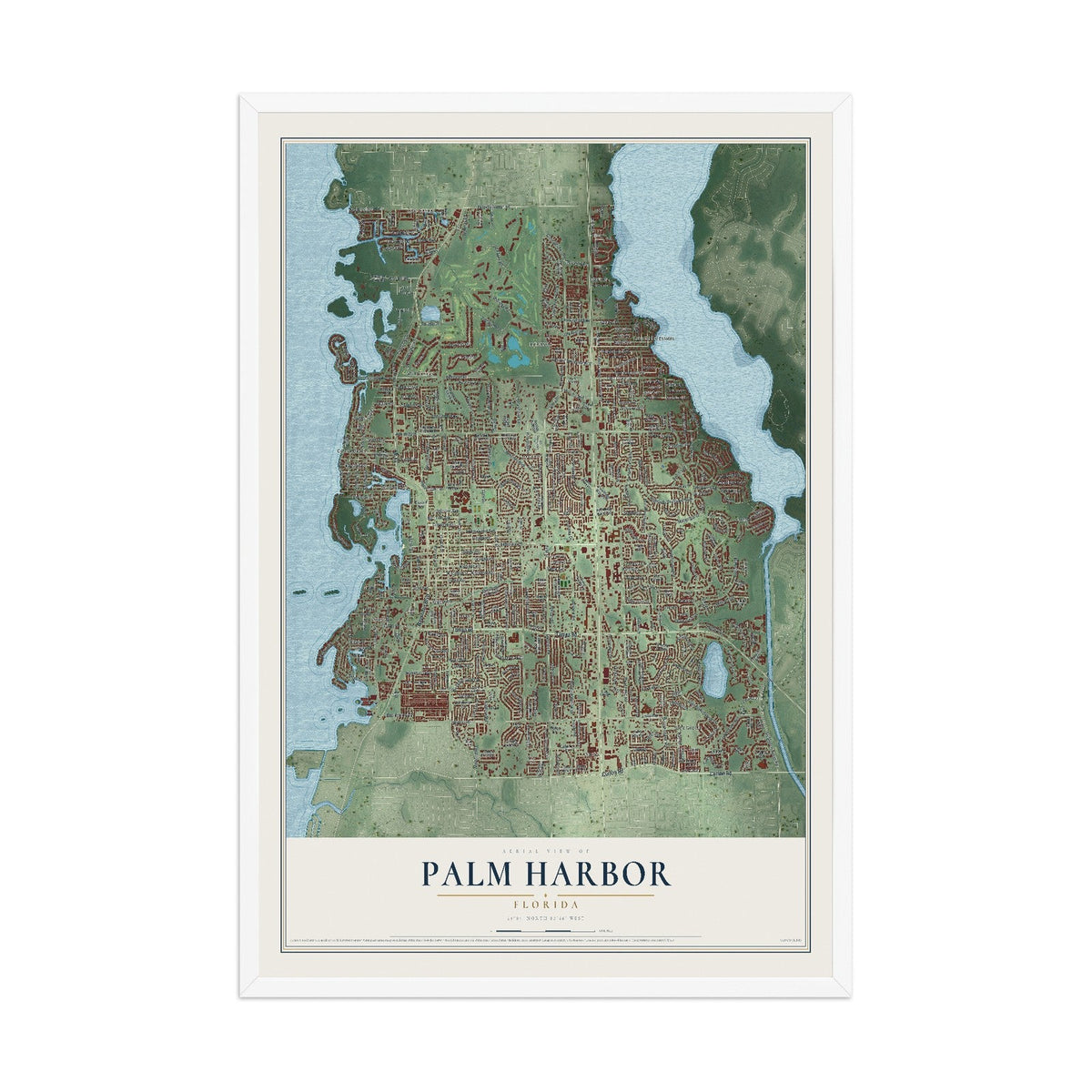 Map of Palm Harbor, Florida, 12 x 18 inch print in a white wood frame