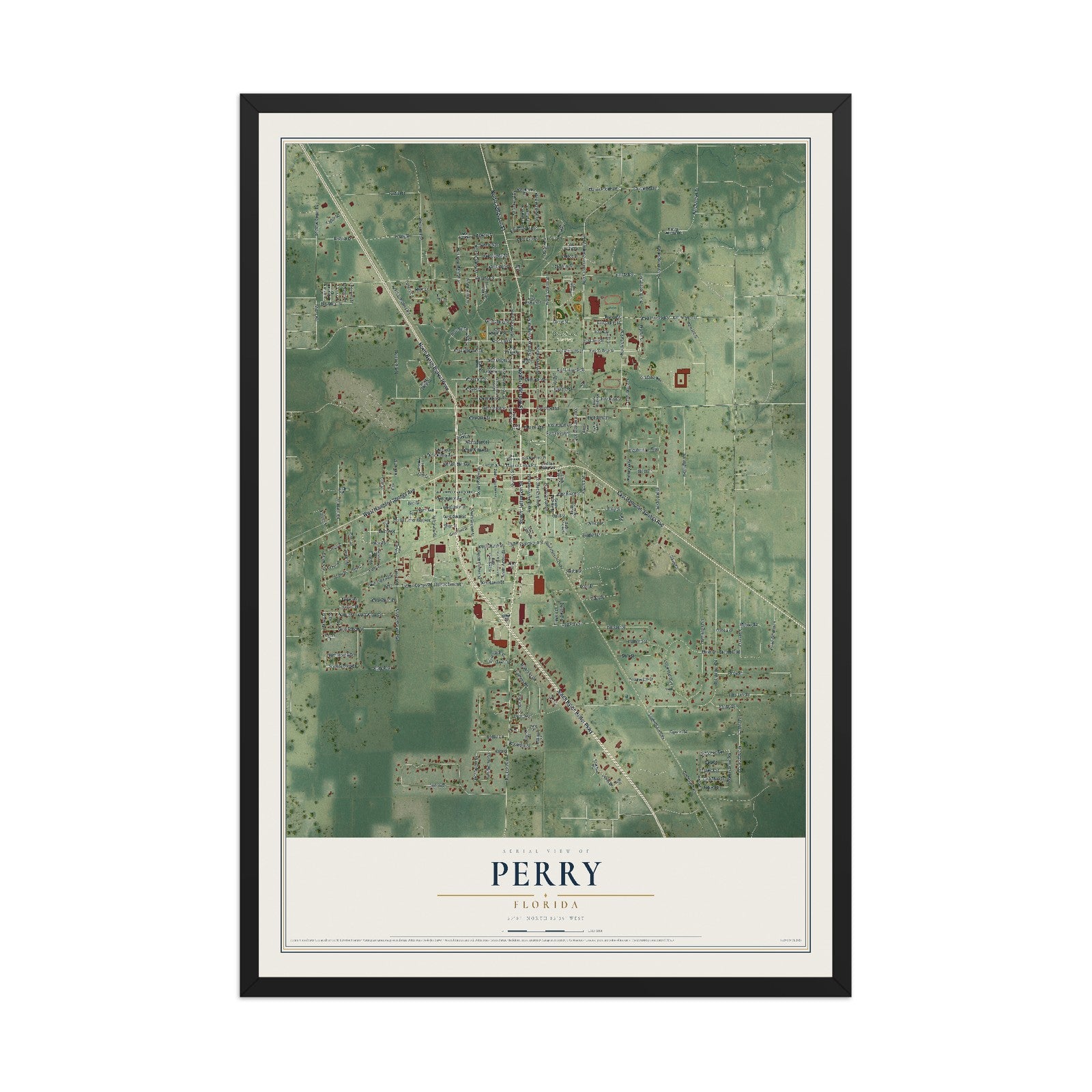 Perry, Florida map print, 12" x 18" W/ Black Ayous Wood Frame mockup