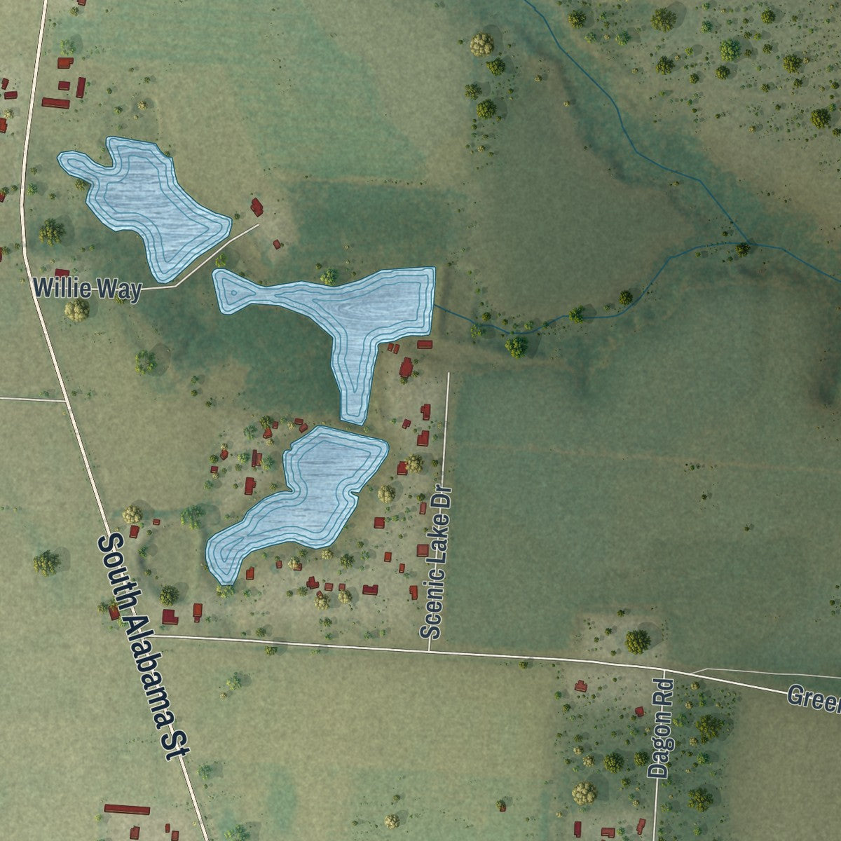 Close-up of the map of Pine Level, Florida print showing street and building detail