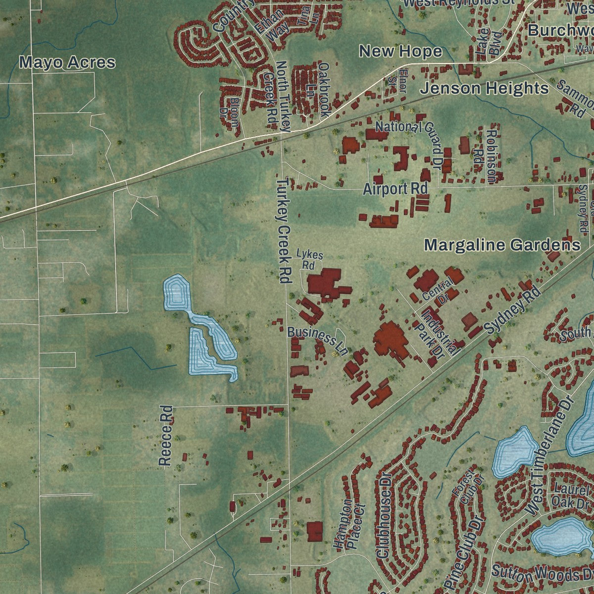 Close-up 2 of the Plant City, Florida map artwork
