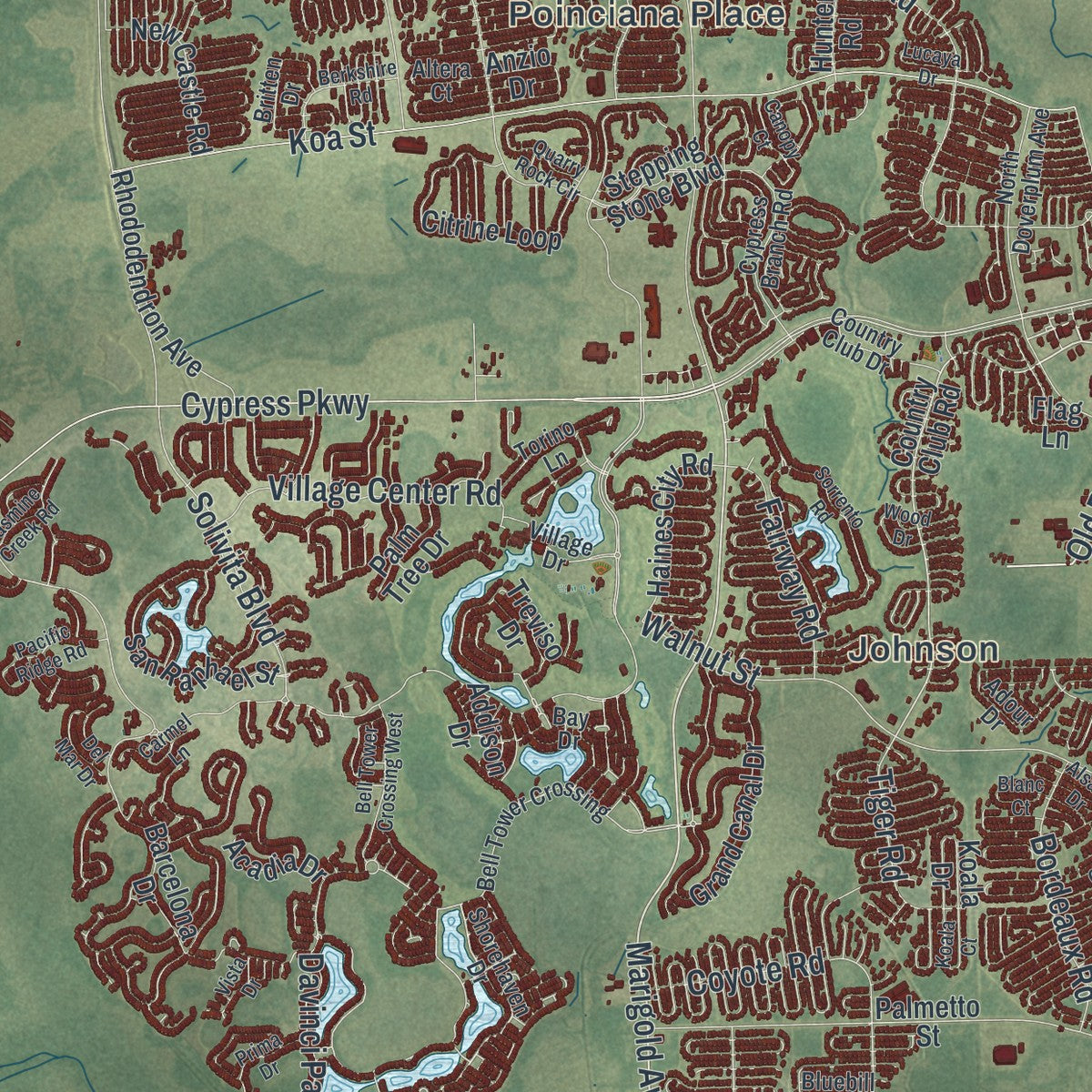 Close-up of the map of Poinciana, Florida print showing street and building detail
