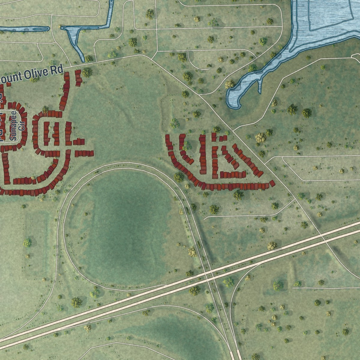 Close-up 2 of the Polk City, Florida map artwork