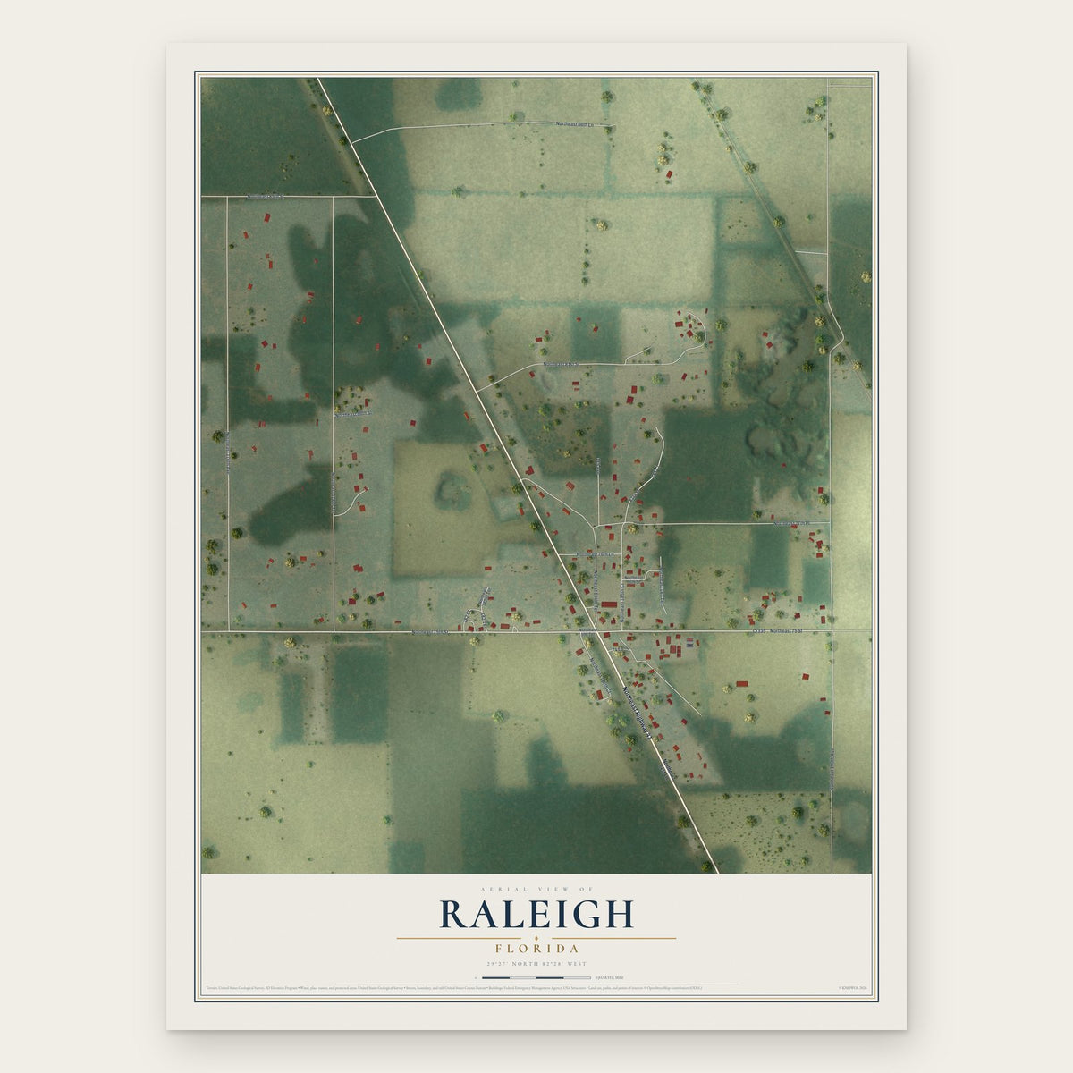 Raleigh, Florida map print, the full design