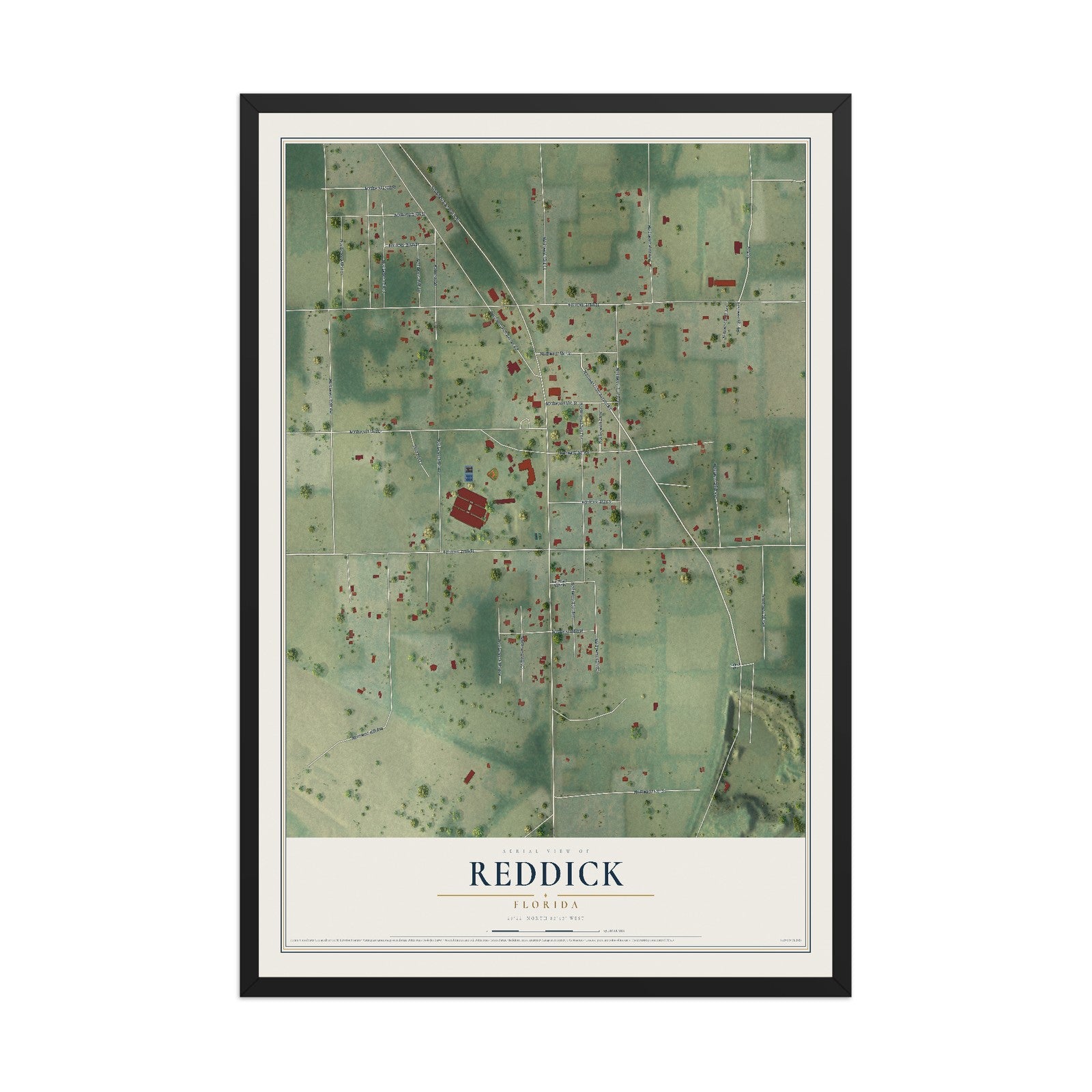 Reddick, Florida map print, 12" x 18" W/ Black Ayous Wood Frame mockup