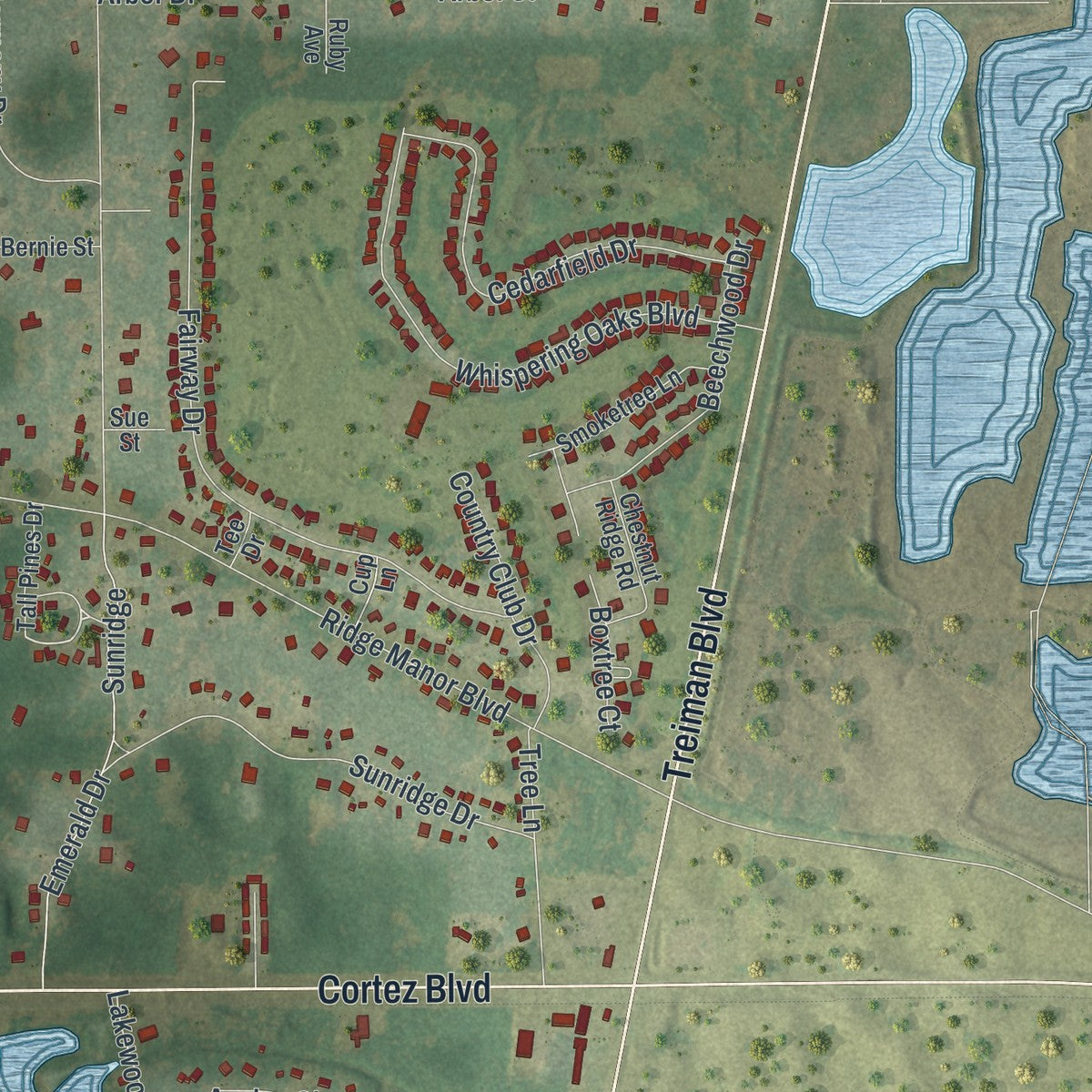 Close-up of the map of Ridge Manor, Florida print showing street and building detail
