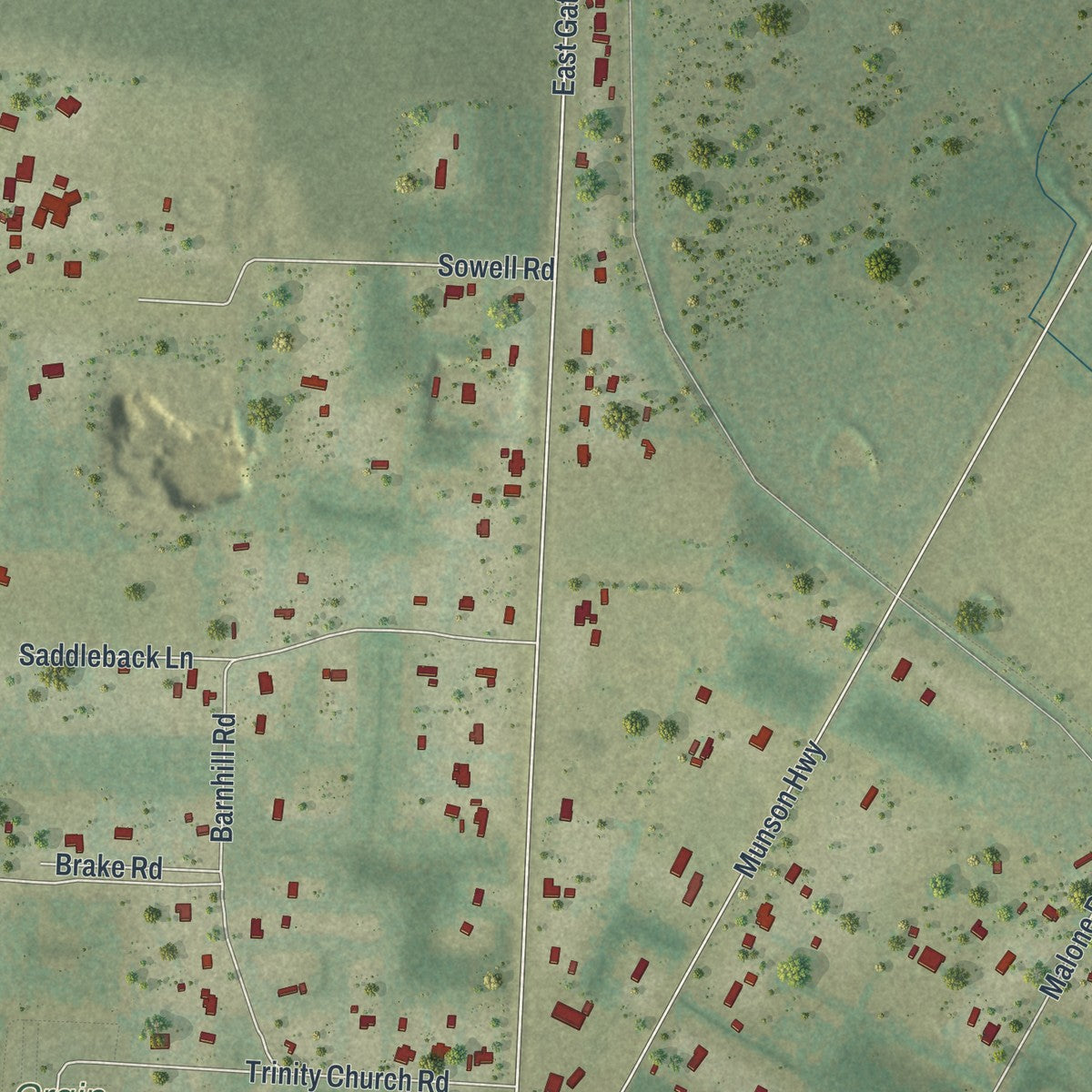Close-up of the map of Roeville, Florida print showing street and building detail