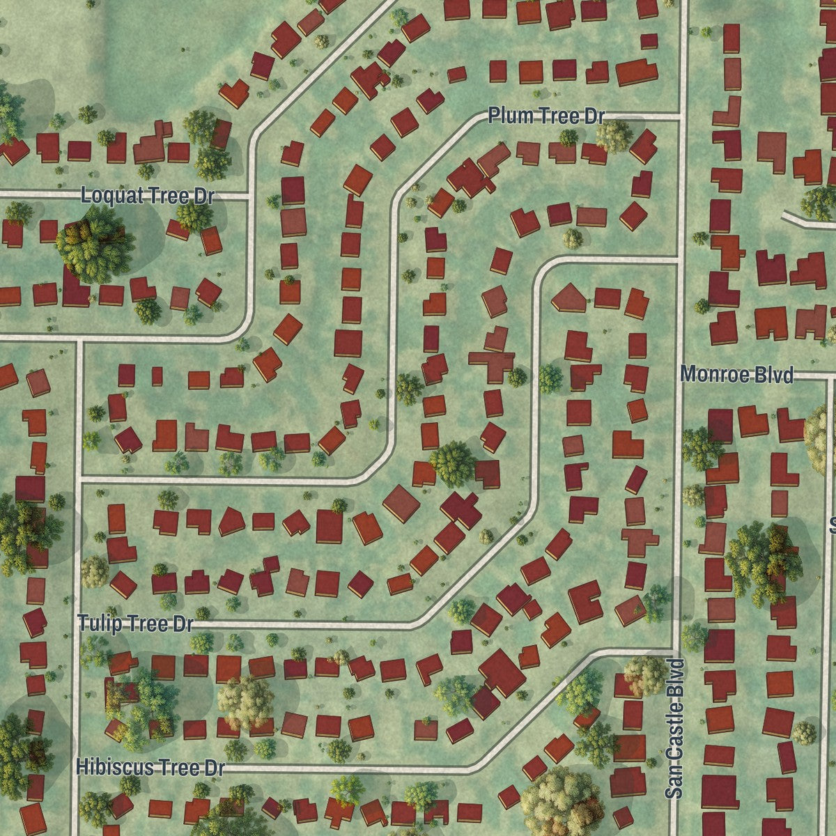 Close-up of the map of San Castle, Florida print showing street and building detail