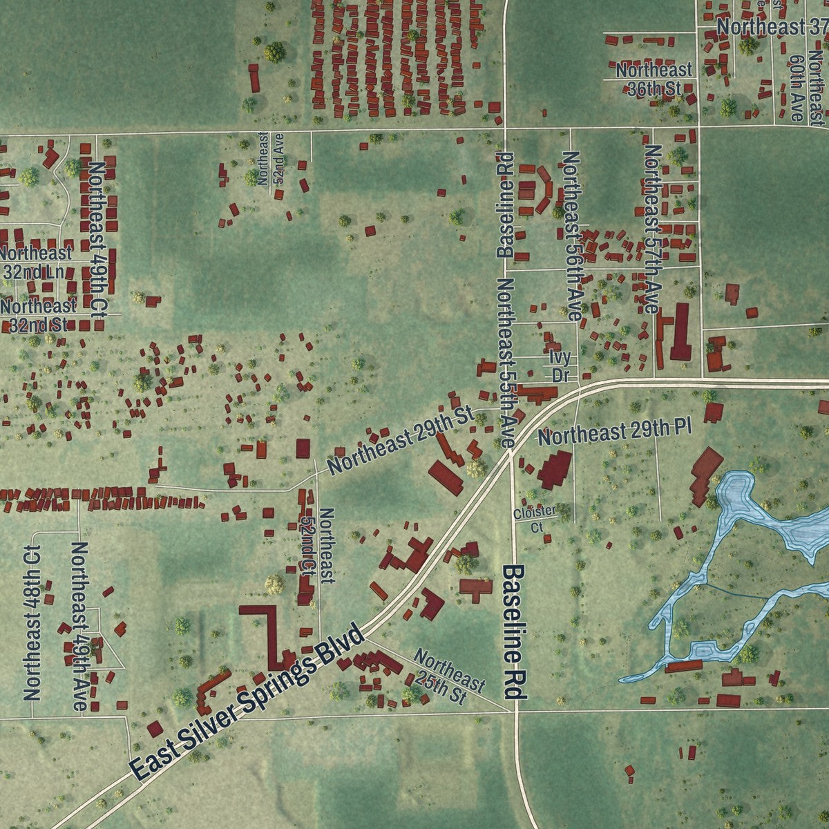 Close-up of the map of Silver Springs, Florida print showing street and building detail