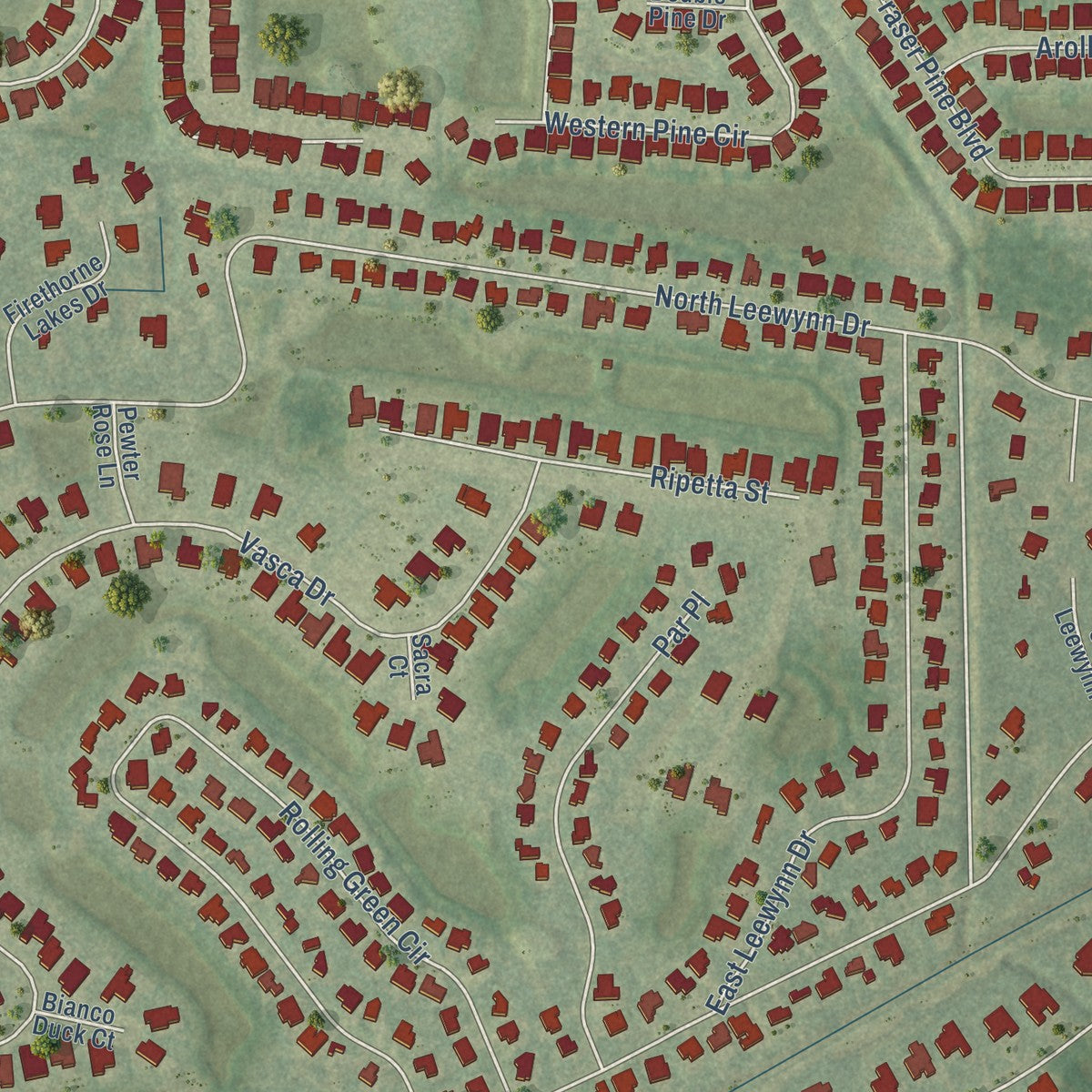 Close-up of the map of Tatum, Florida print showing street and building detail