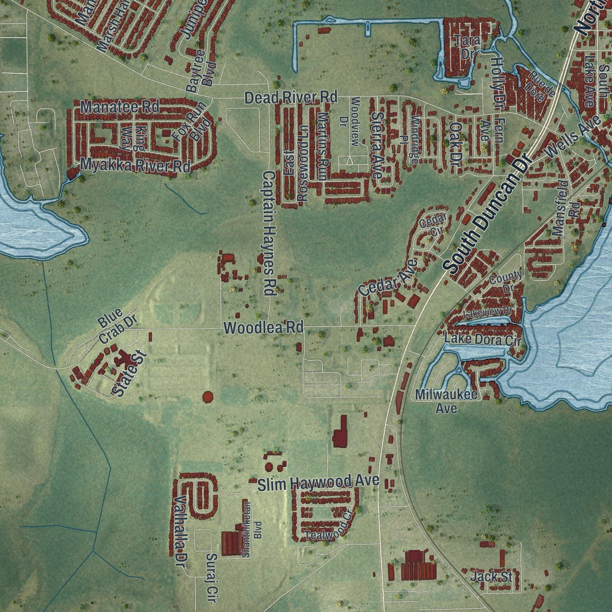 Close-up 2 of the Tavares, Florida map artwork