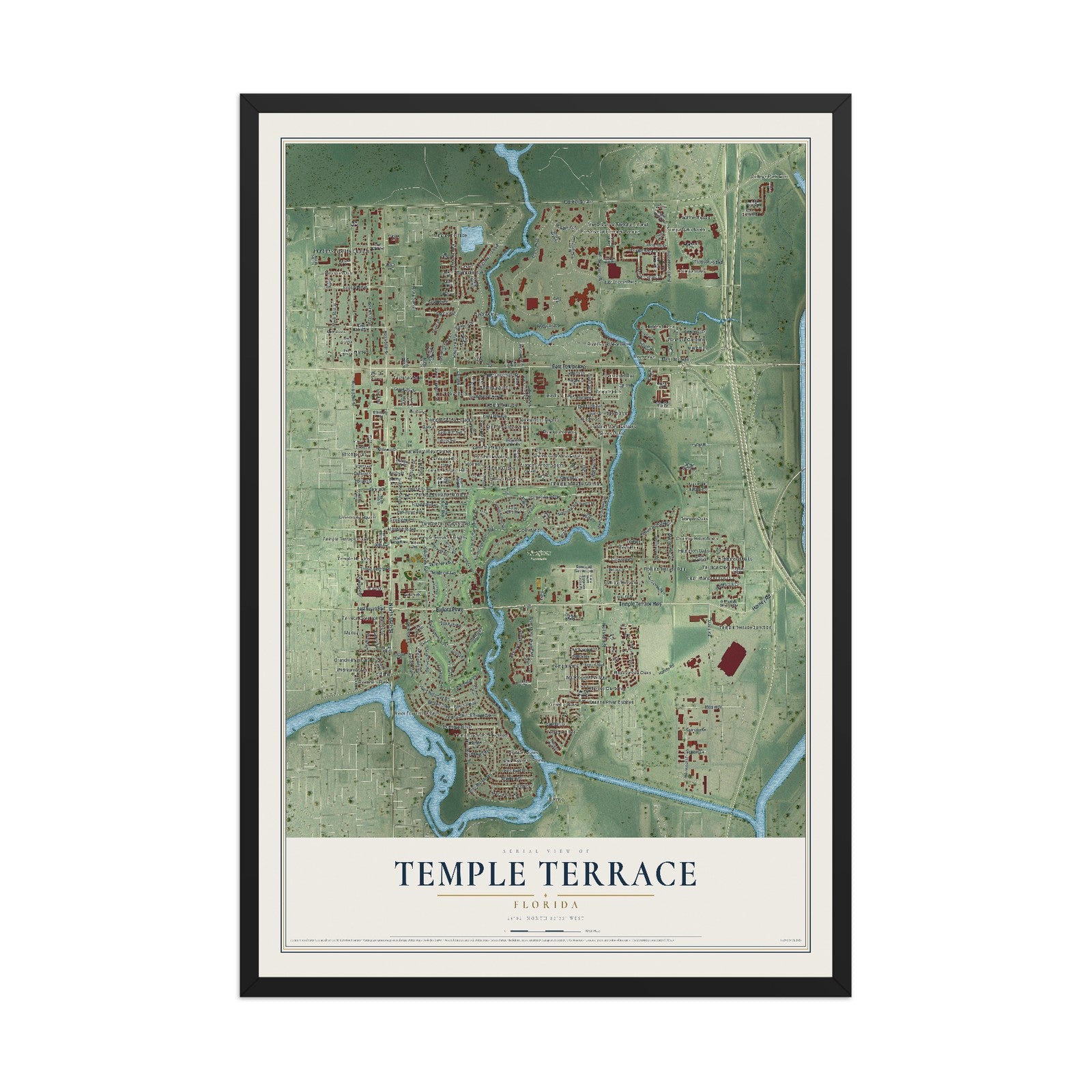 Temple Terrace, Florida map print, 12" x 18" W/ Black Ayous Wood Frame mockup