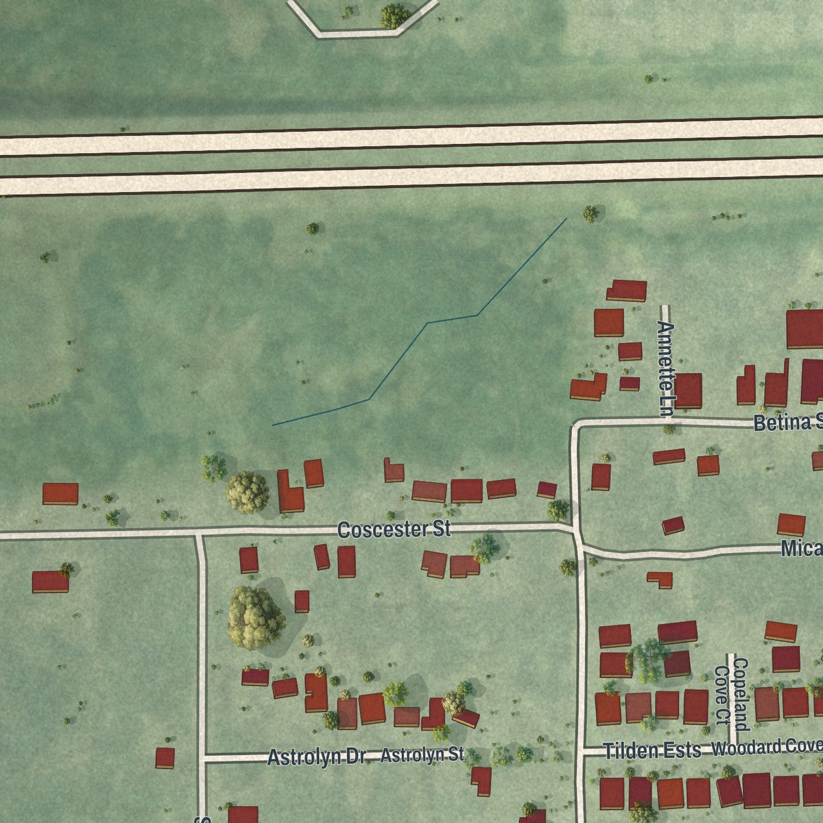 Close-up of the map of Tildenville, Florida print showing street and building detail