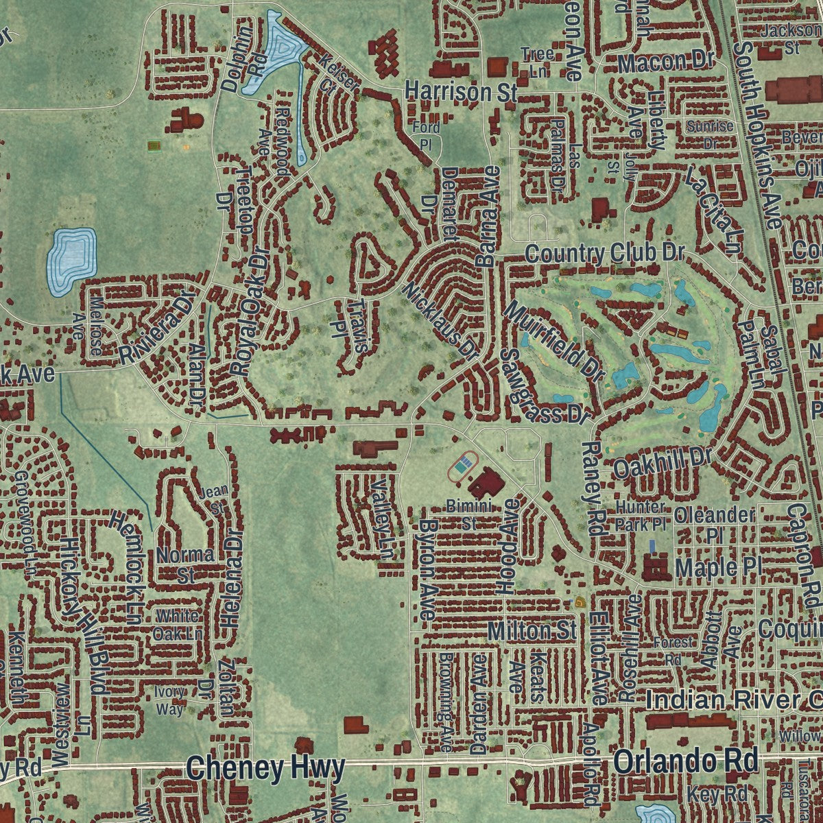 Close-up 1 of the Titusville, Florida map artwork