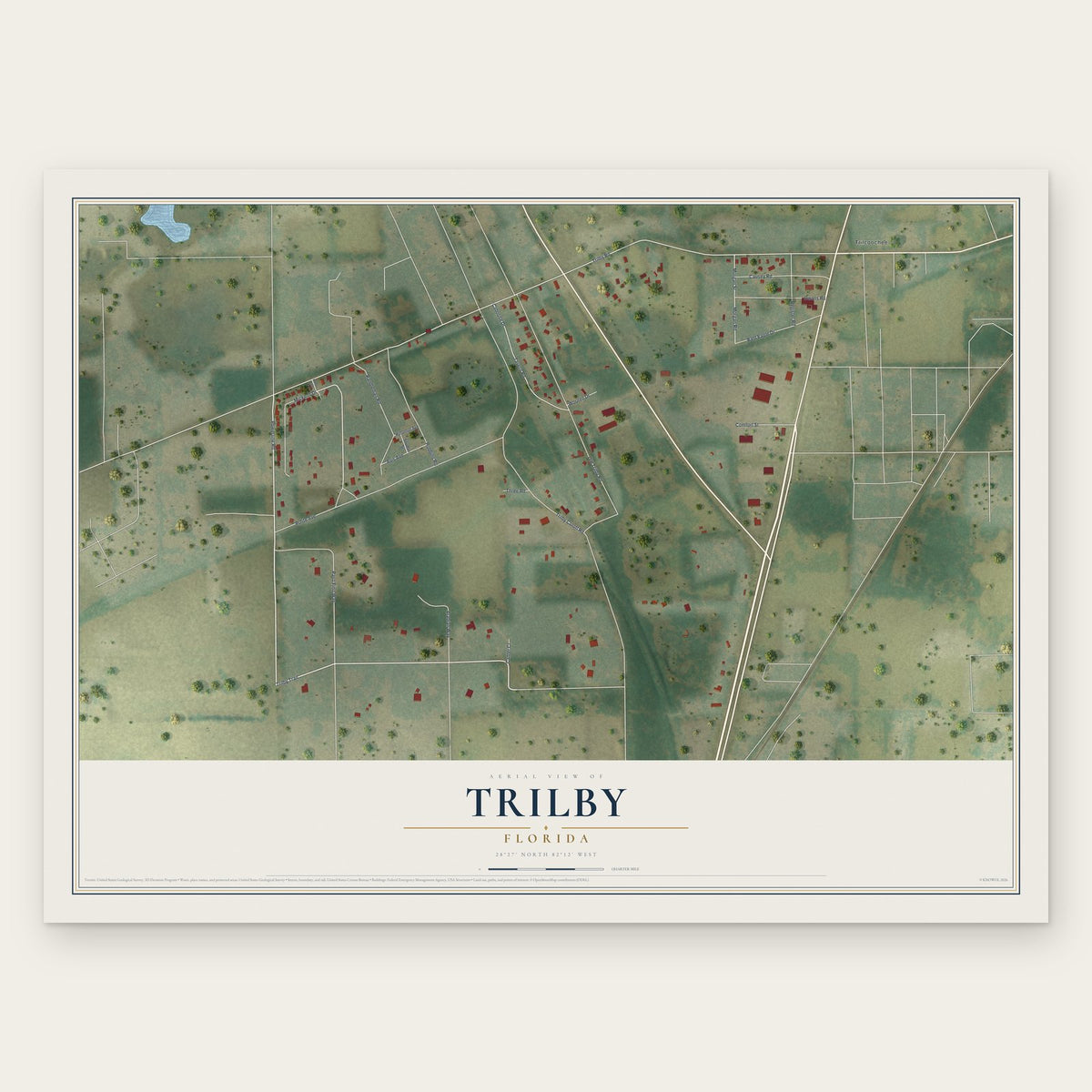 Trilby, Florida map print, the full design