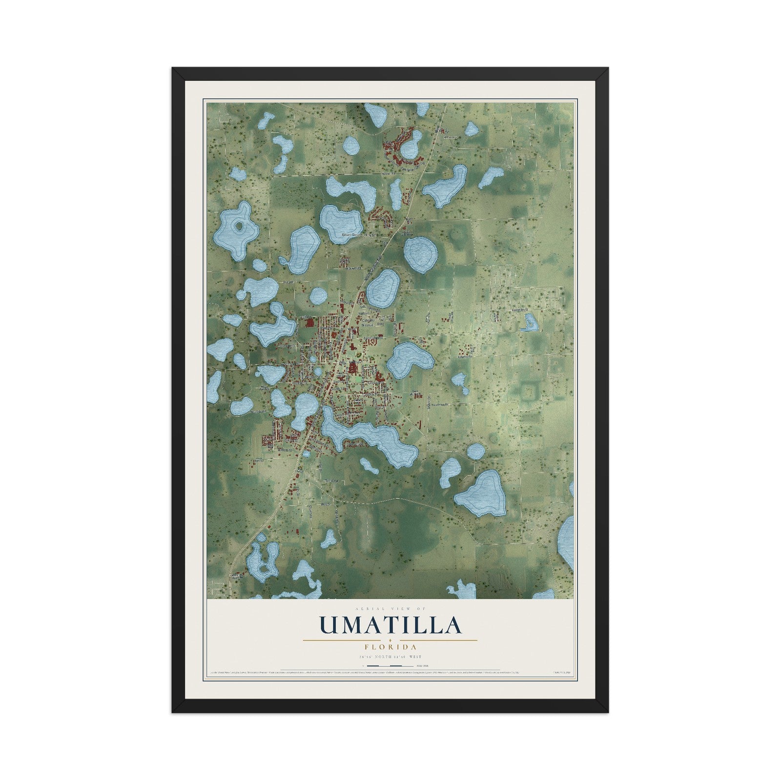 Umatilla, Florida map print, 12" x 18" W/ Black Ayous Wood Frame mockup
