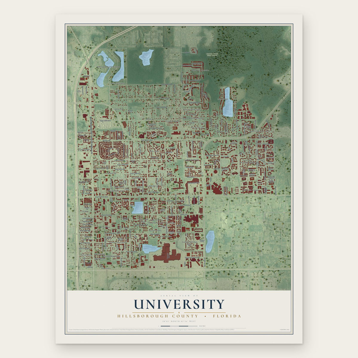 University, Hillsborough County, Florida map print, the full design
