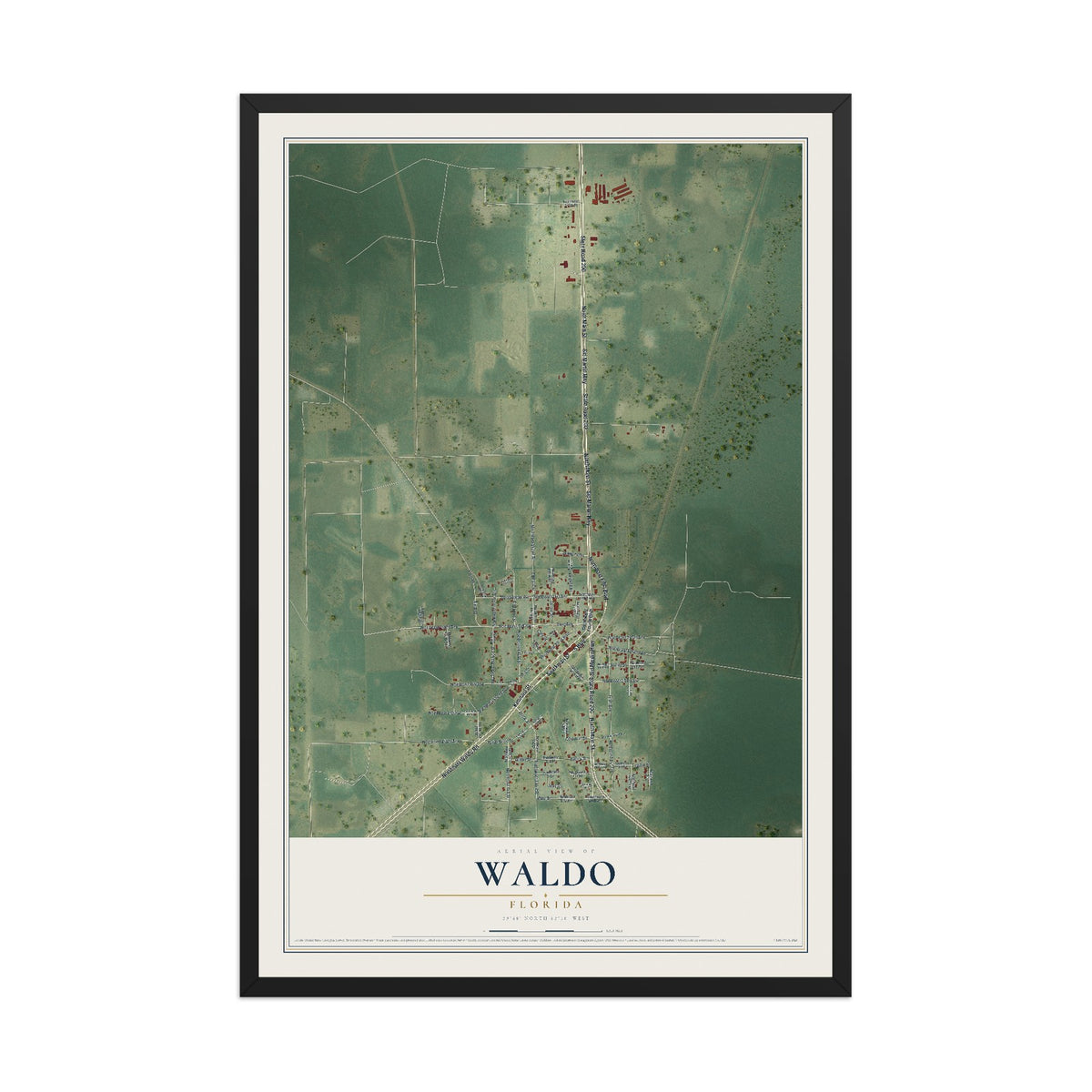 Waldo, Florida map print, 12" x 18" W/ Black Ayous Wood Frame mockup