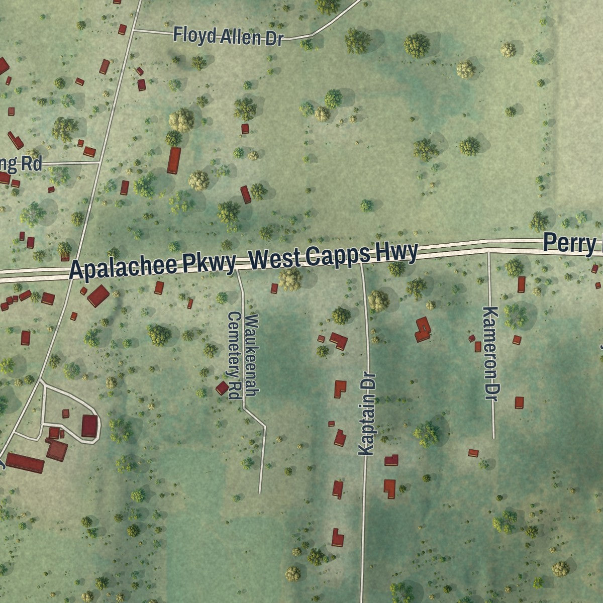 Close-up of the map of Waukeenah, Florida print showing street and building detail