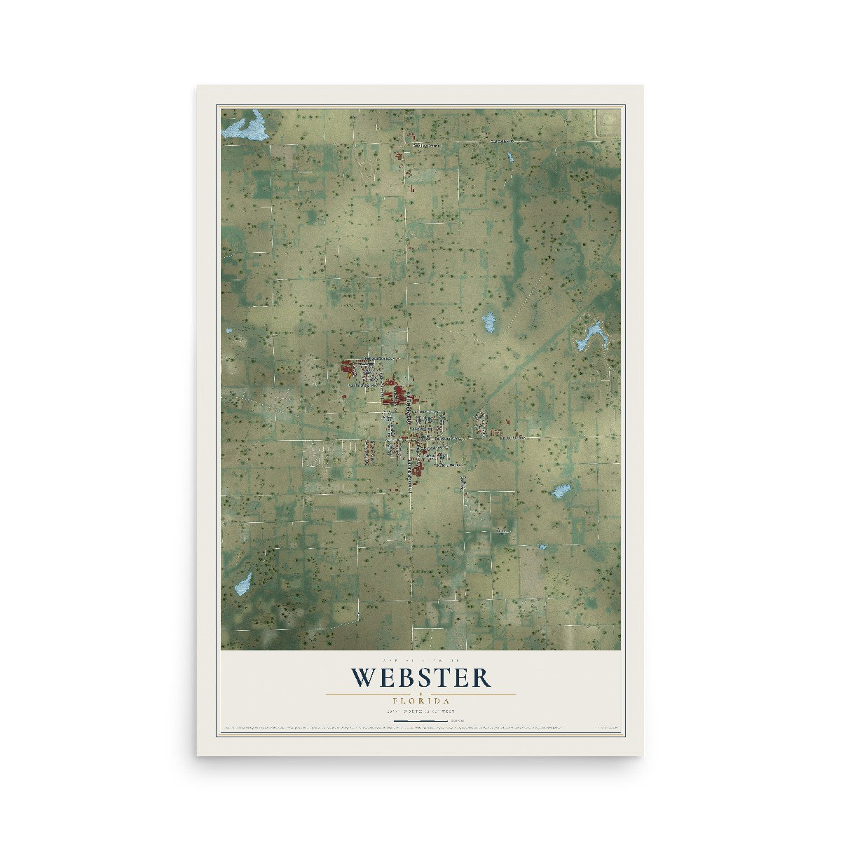 Webster, Florida map print, 12" x 18" Archival Matte Print mockup
