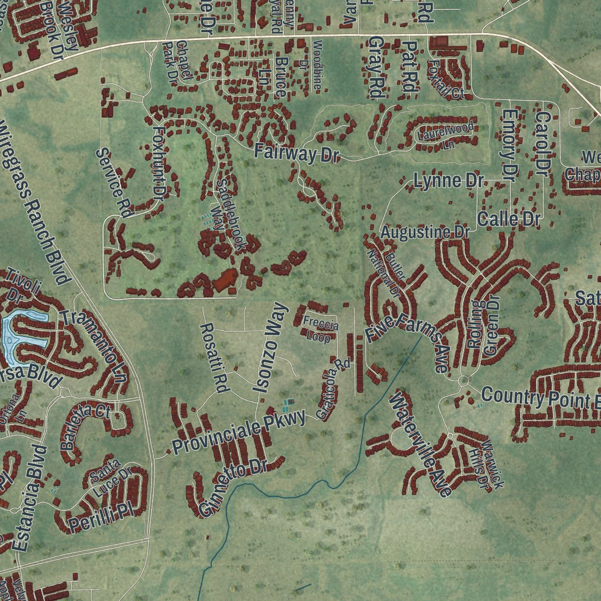 Close-up of the map of Wesley Chapel, Florida print showing street and building detail