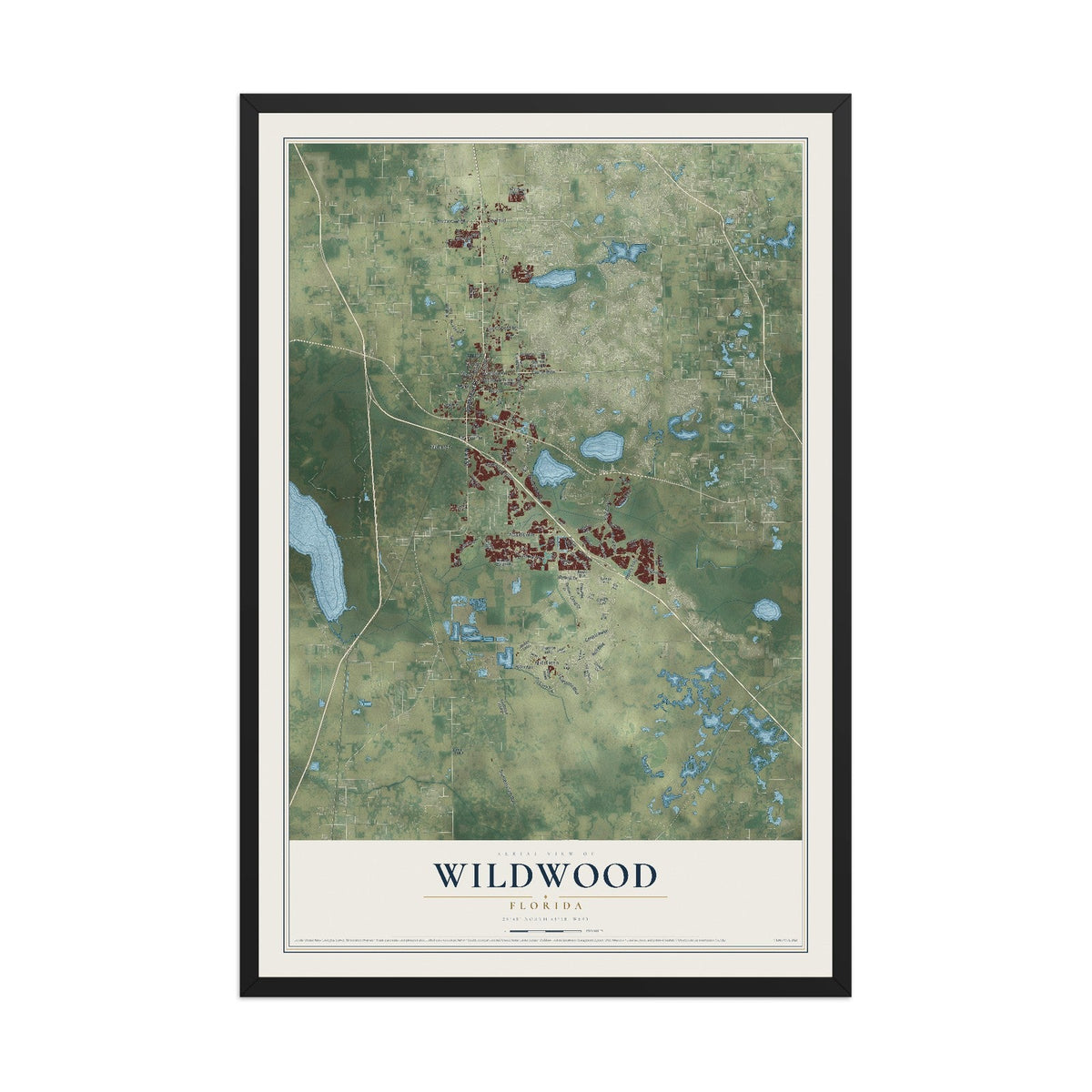 Wildwood, Florida map print, 12" x 18" W/ Black Ayous Wood Frame mockup