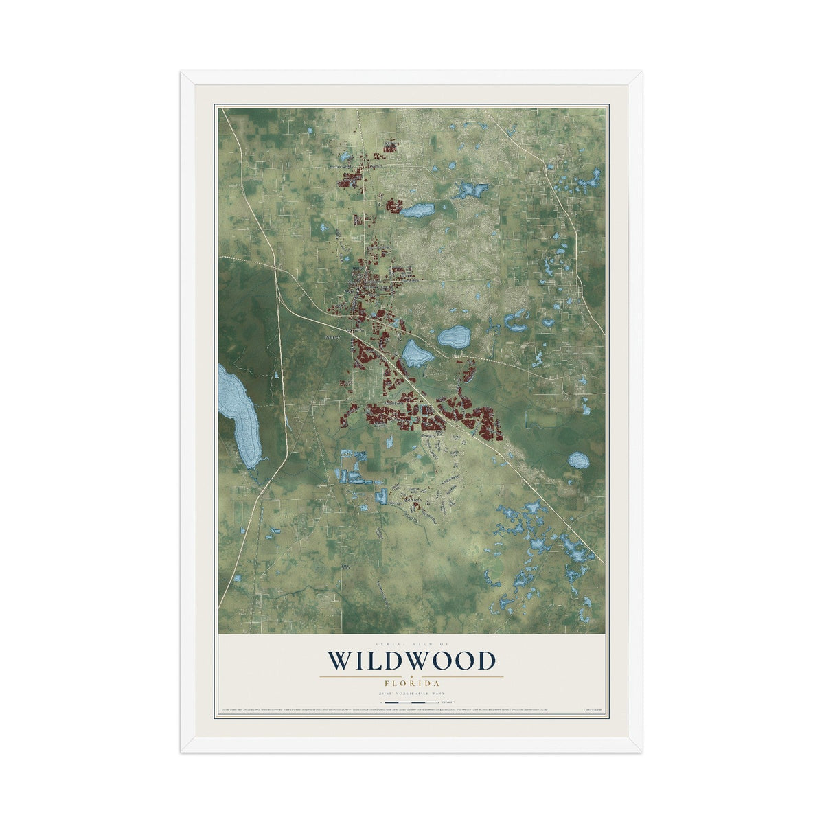 Wildwood, Florida map print, 12" x 18" W/ White Ayous Wood Frame mockup