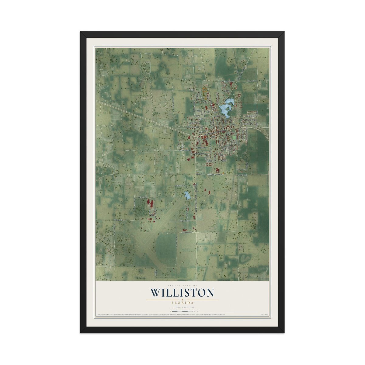 Williston, Florida map print, 12" x 18" W/ Black Ayous Wood Frame mockup