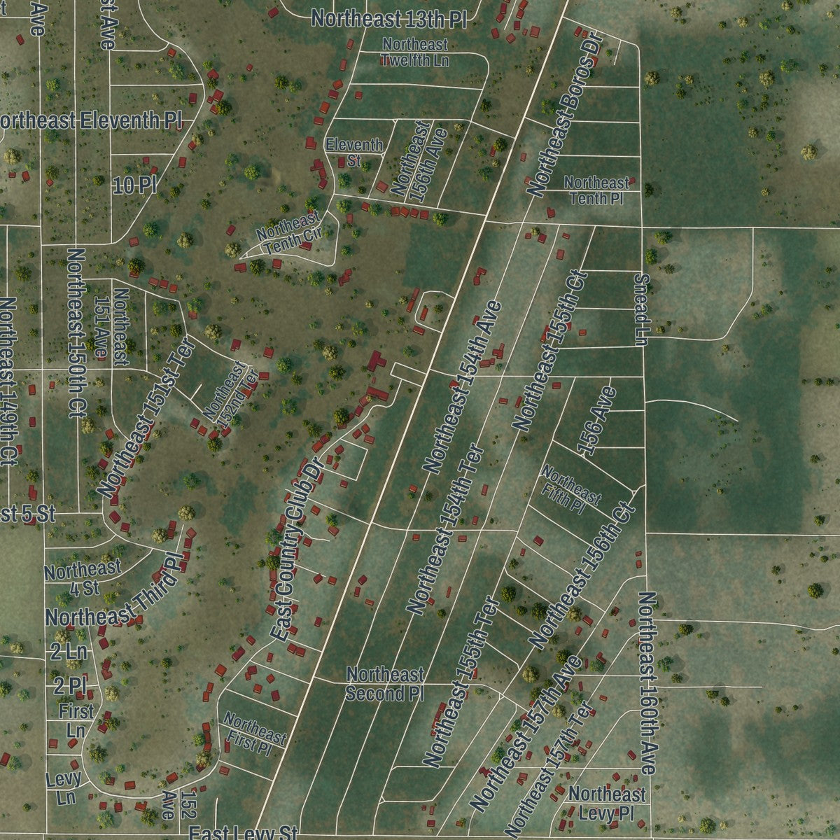 Close-up of the map of Williston Highlands, Florida print showing street and building detail