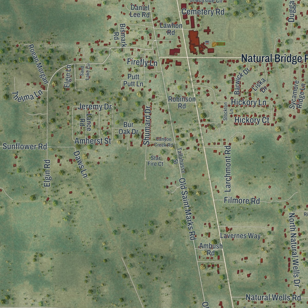 Close-up of the map of Woodville, Florida print showing street and building detail