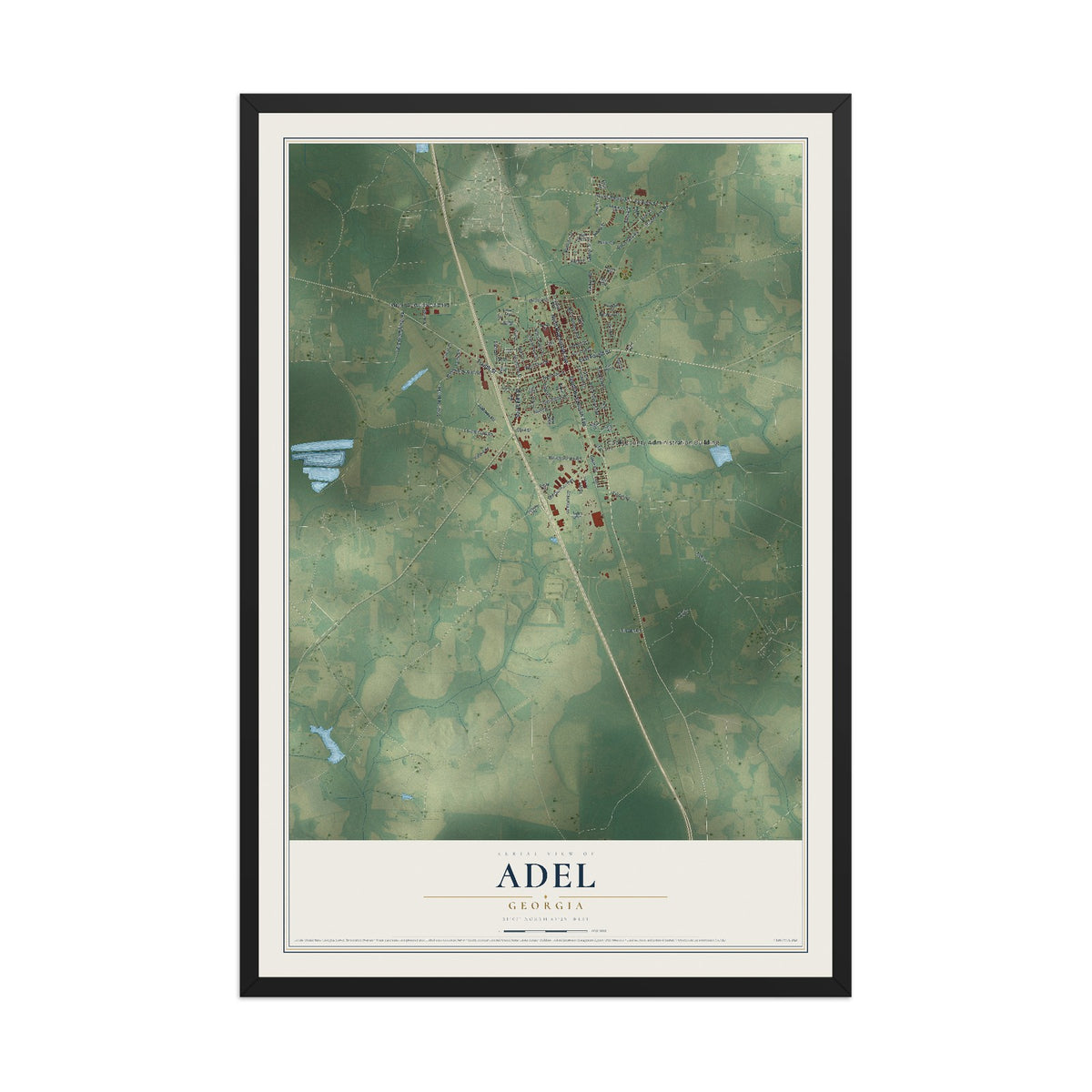 Adel, Georgia map print, 12" x 18" W/ Black Ayous Wood Frame mockup