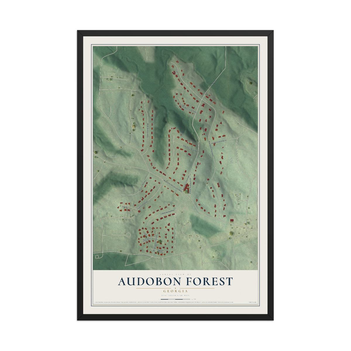 Audobon Forest, Georgia map print, 12" x 18" W/ Black Ayous Wood Frame mockup