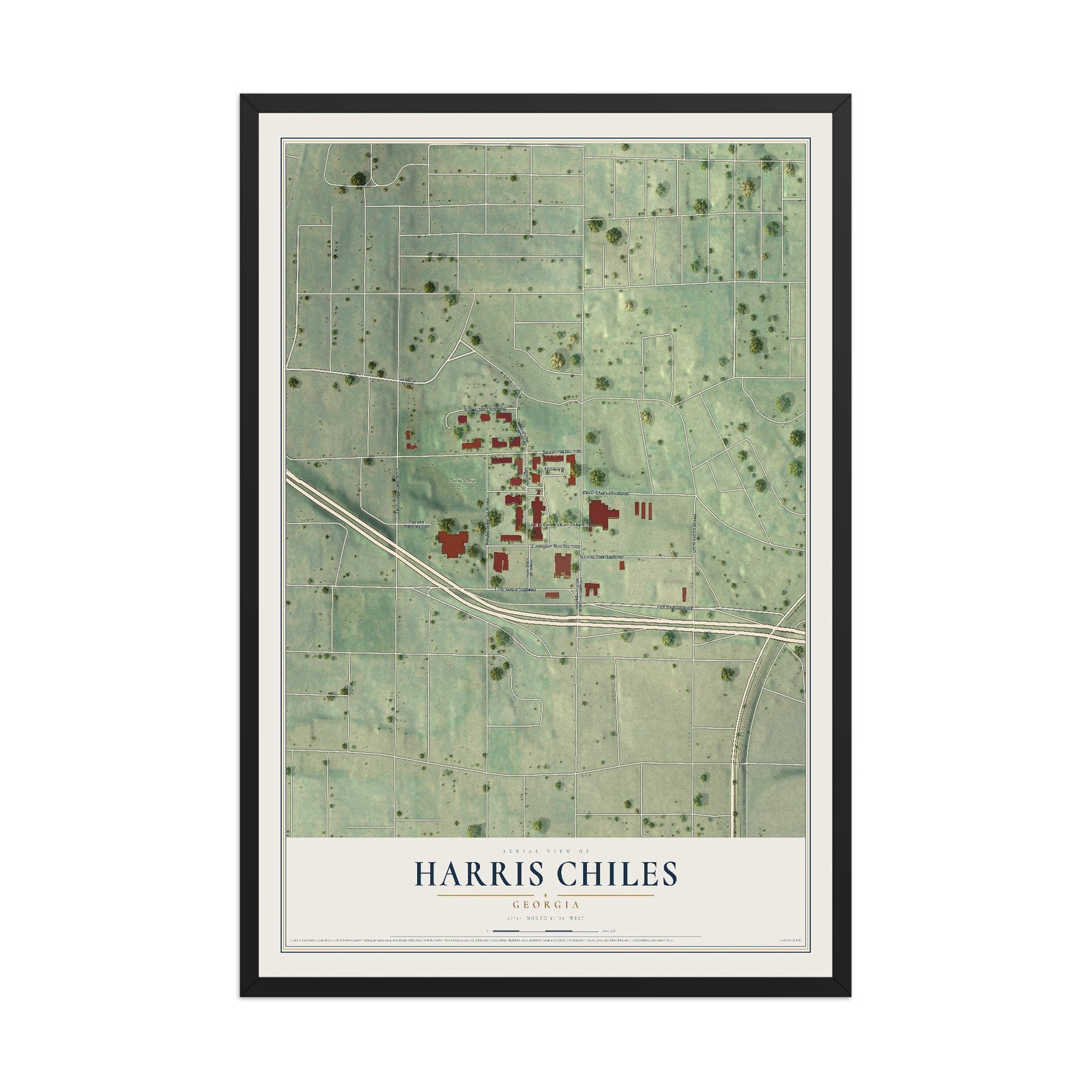 Harris Chiles, Georgia map print, 12" x 18" W/ Black Ayous Wood Frame mockup