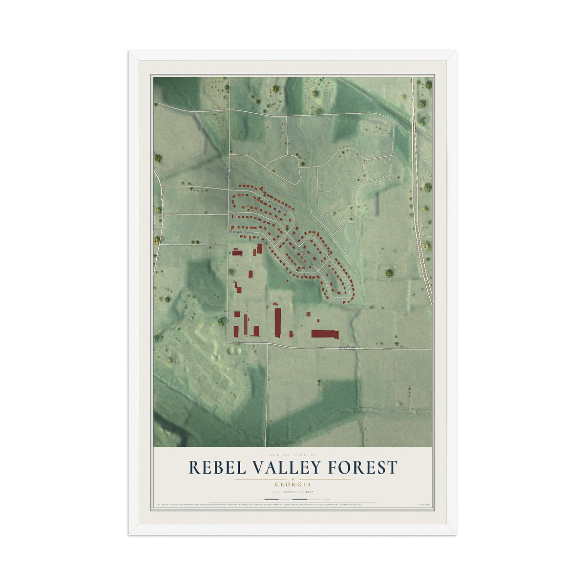 Rebel Valley Forest, Georgia map print, 12" x 18" W/ White Ayous Wood Frame mockup