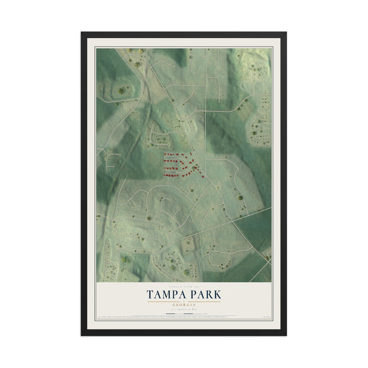 Tampa Park, Georgia map print, 12" x 18" W/ Black Ayous Wood Frame mockup