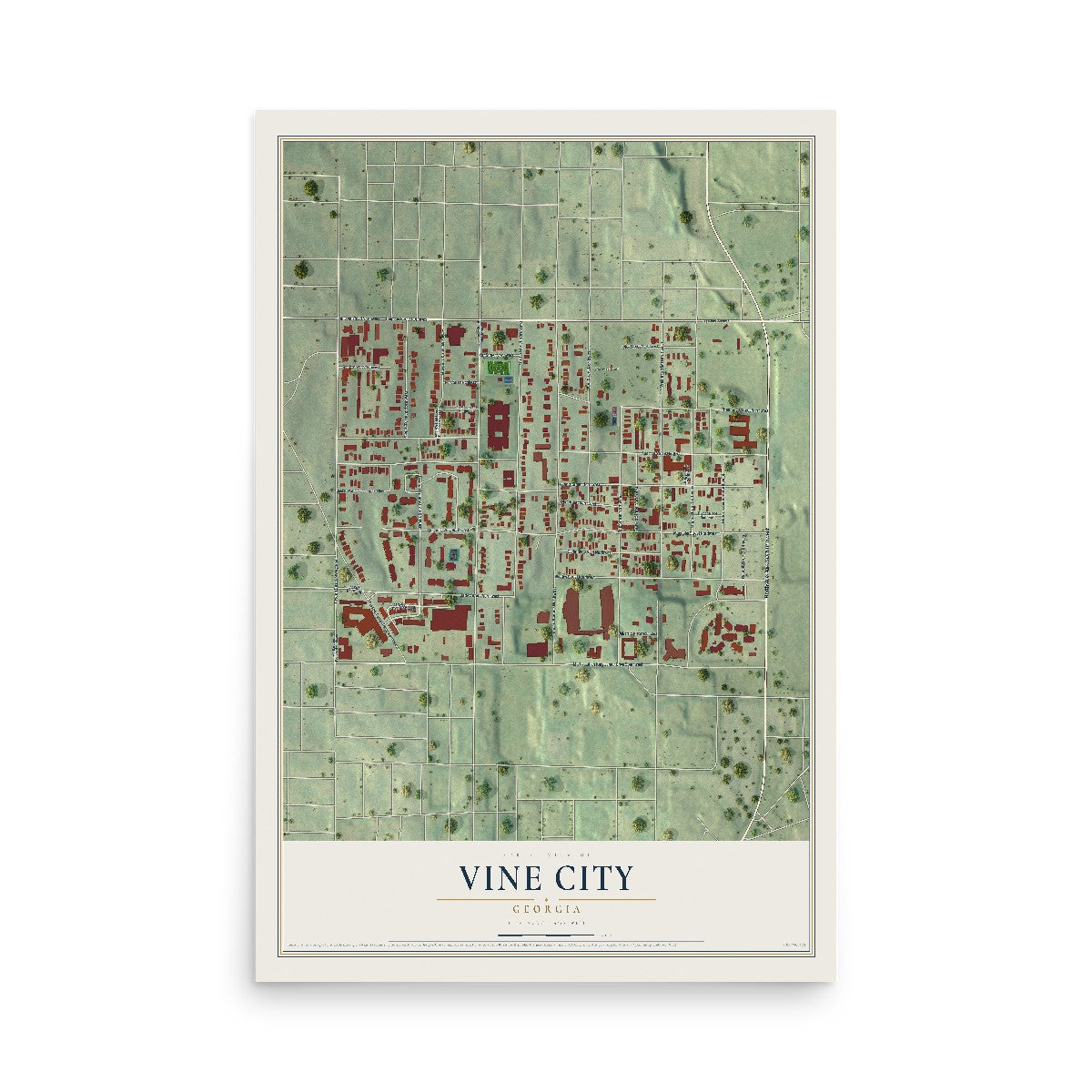 Vine City, Georgia map print, 12" x 18" Archival Matte Print mockup