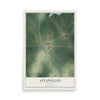 Attapulgus, Georgia map print, 12" x 18" Archival Matte Print mockup